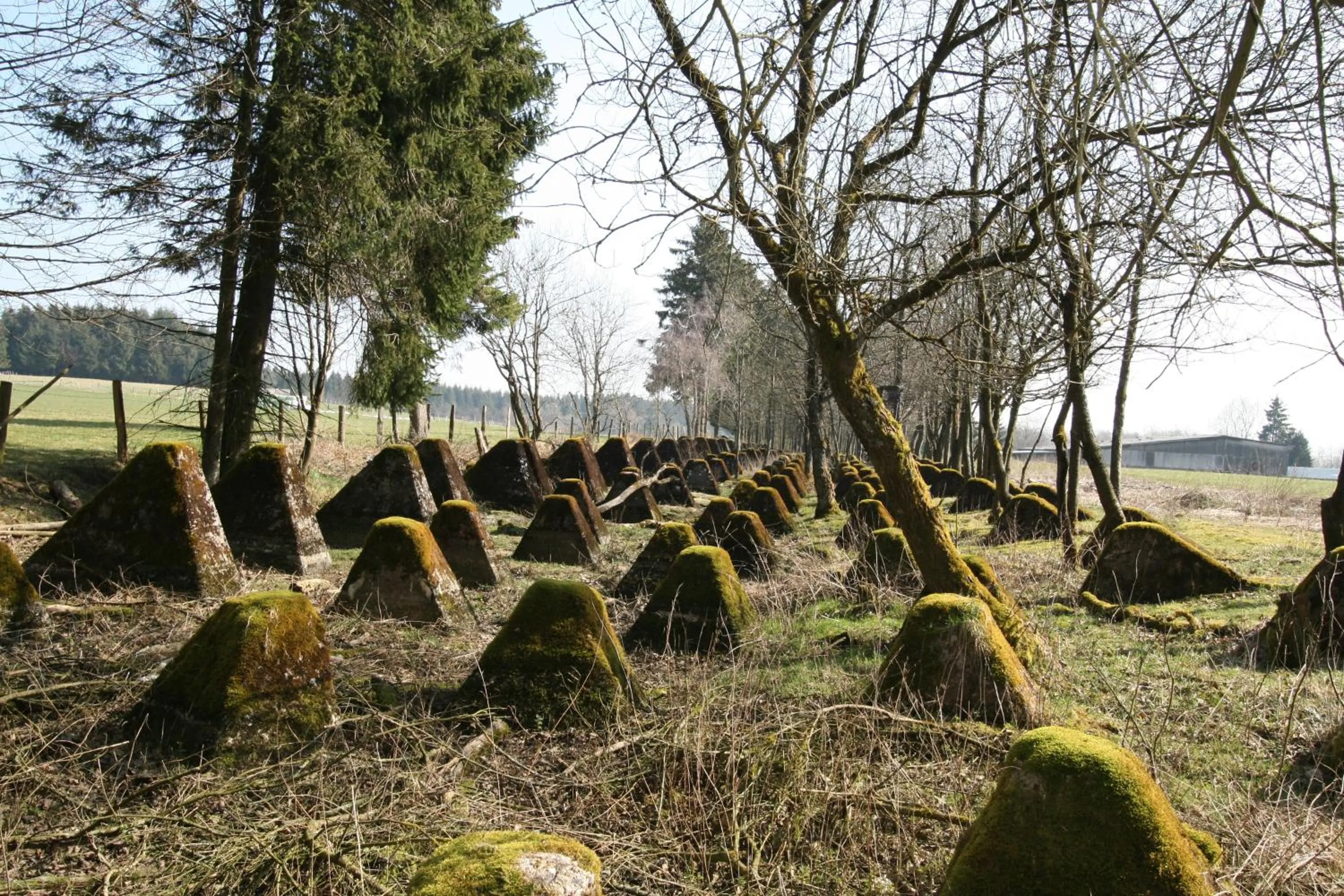 Nearby landmark in Boutique Hotel Restaurant Hollerather Hof