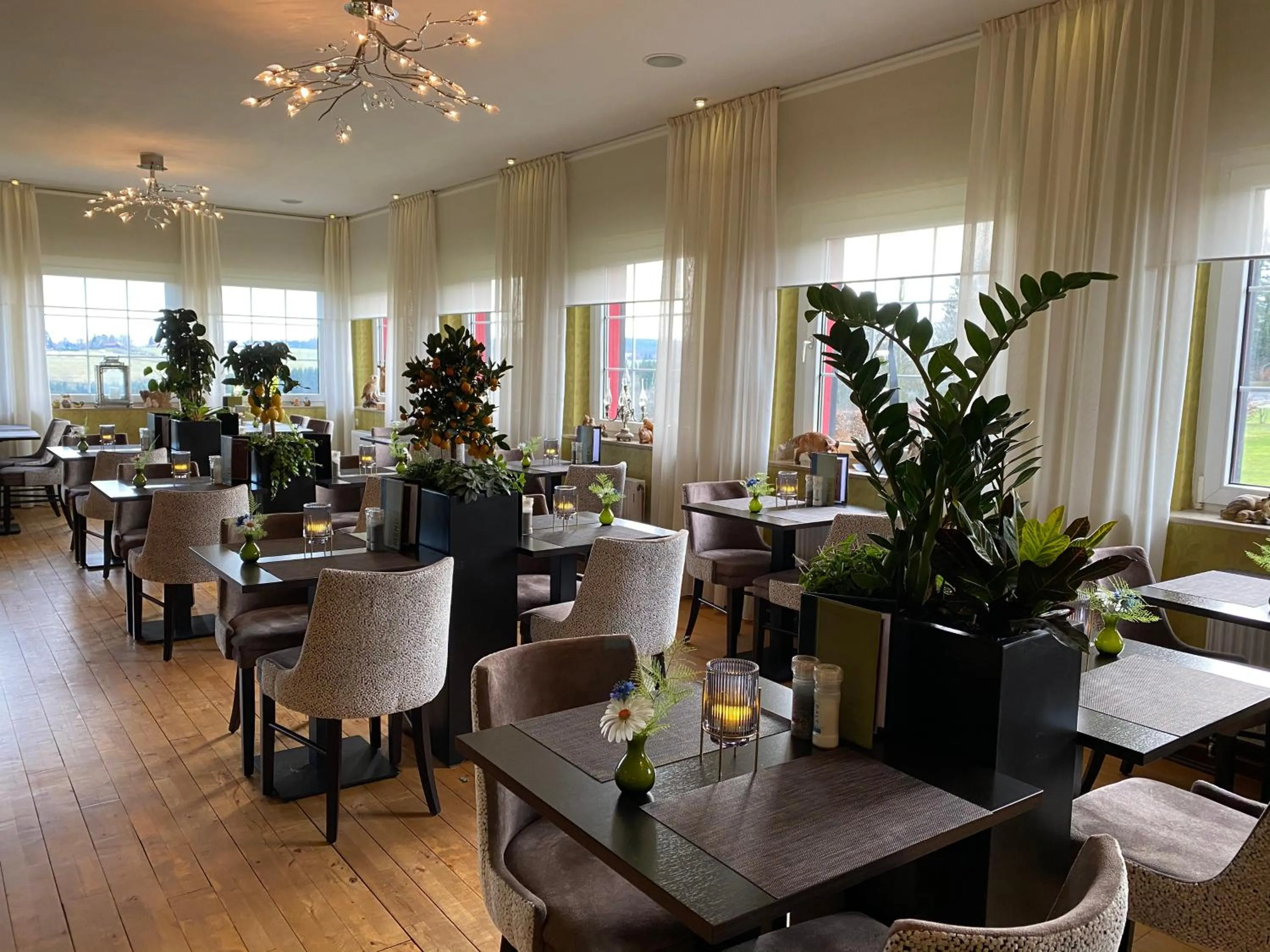 Restaurant/places to eat in Boutique Hotel Restaurant Hollerather Hof