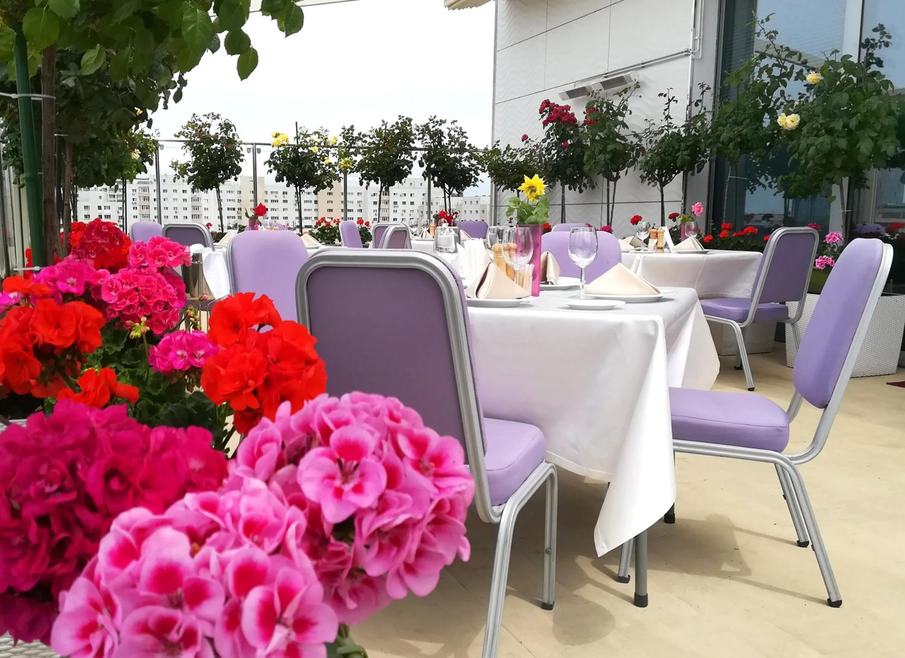 Restaurant/places to eat in Marshal Garden Hotel