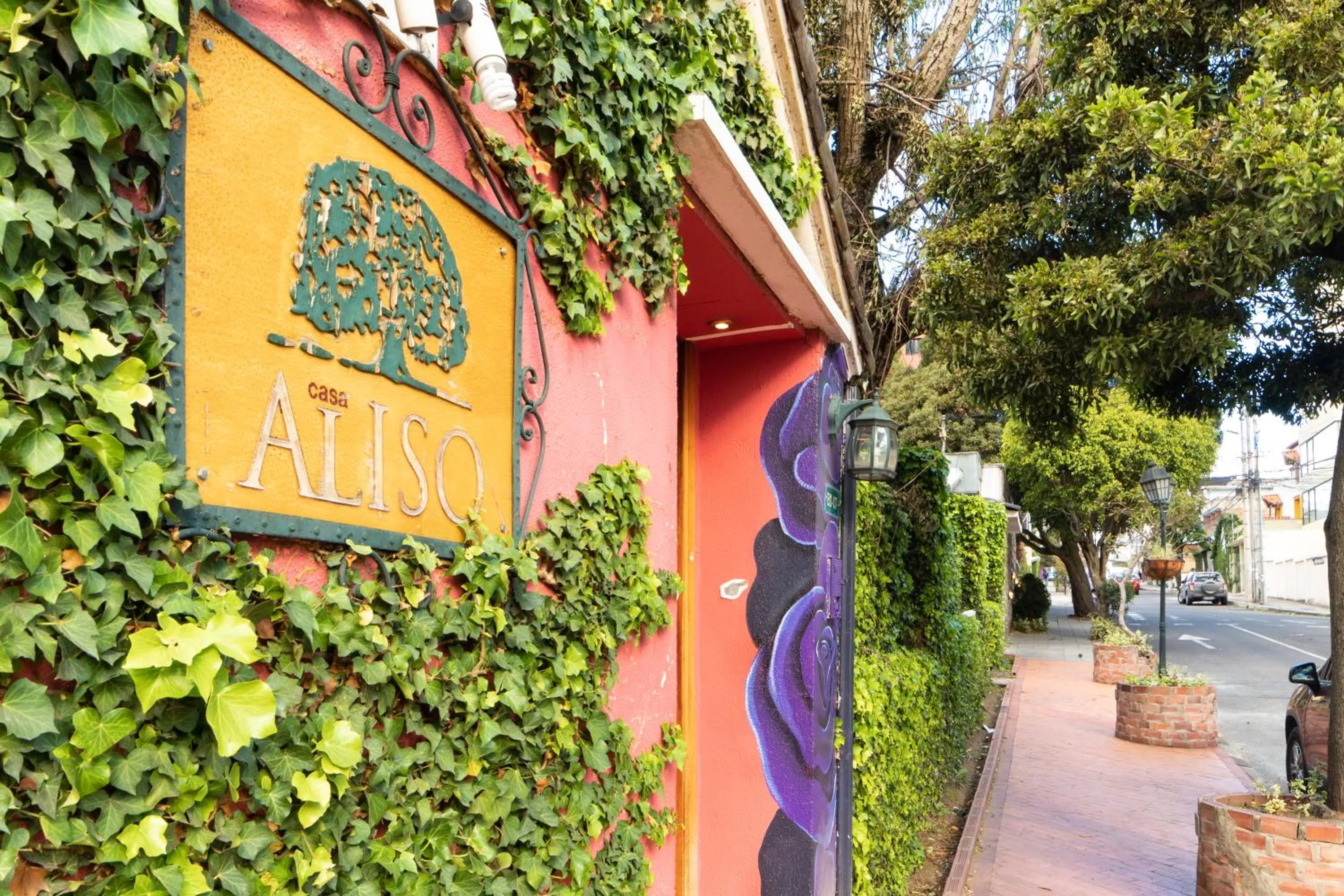 Property building in Casa Aliso Hotel Boutique