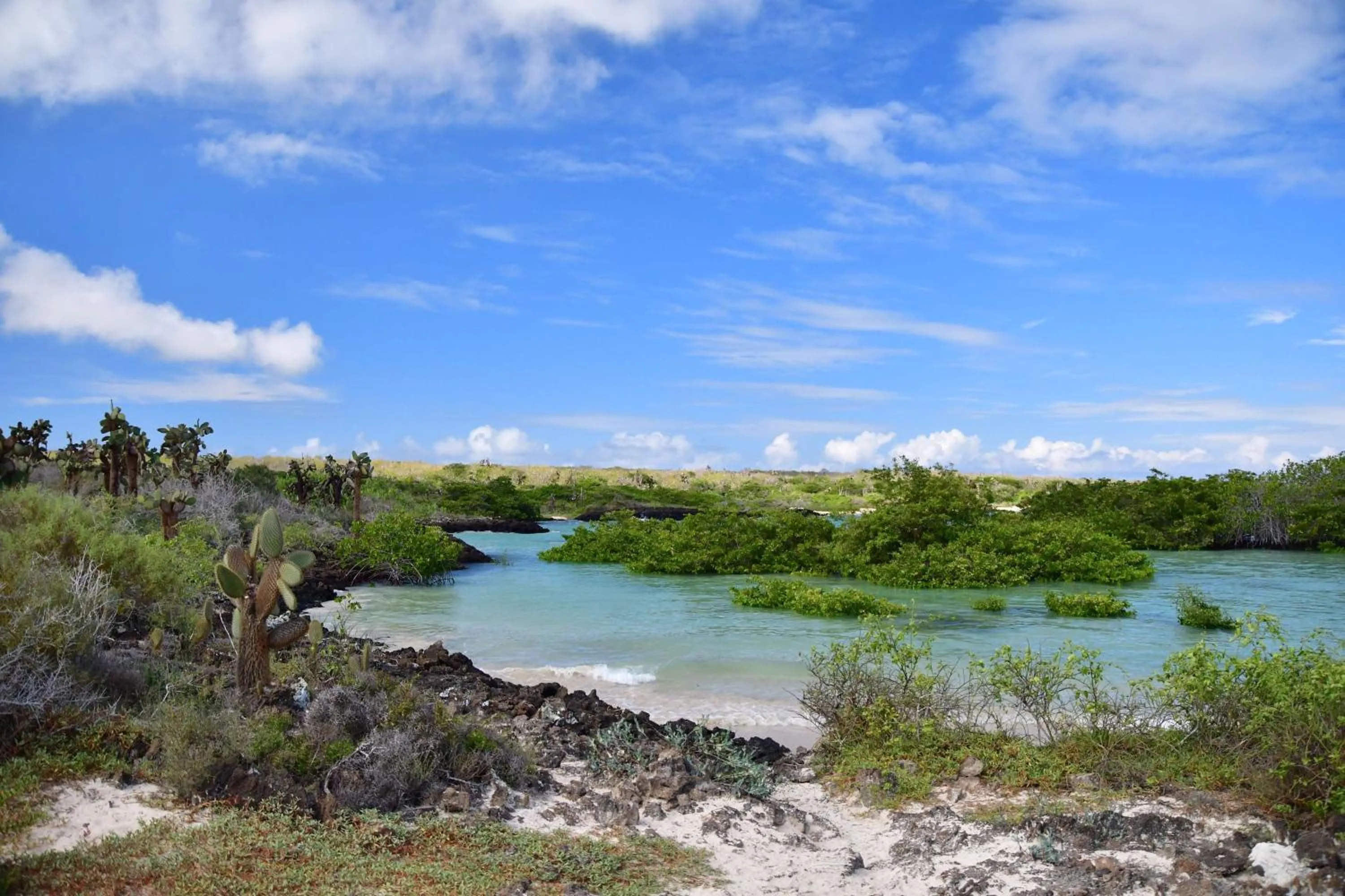 Nearby landmark in Royal Palm Galapagos, Curio Collection Hotel by Hilton