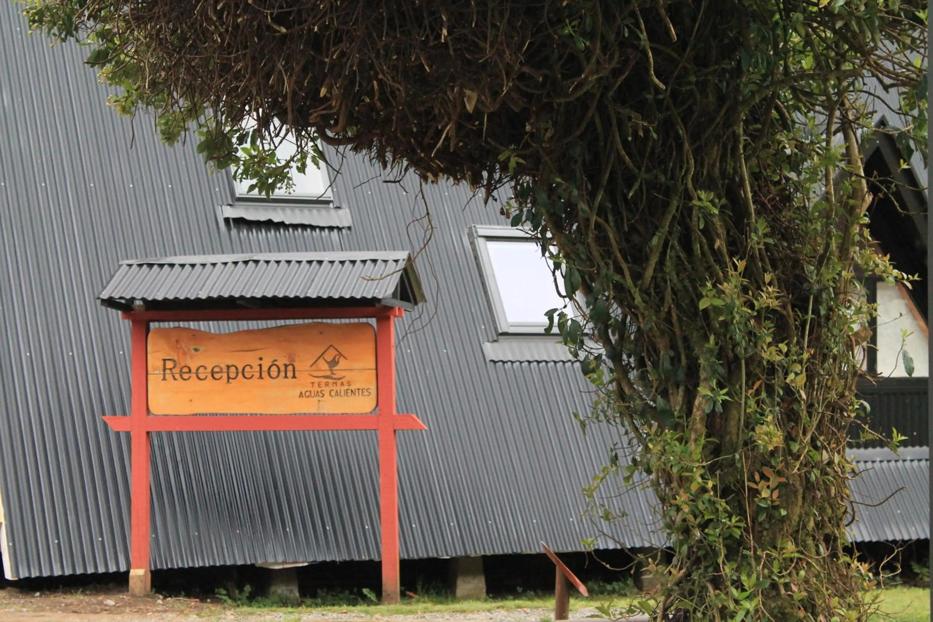 Area and facilities in Termas de Aguas Calientes