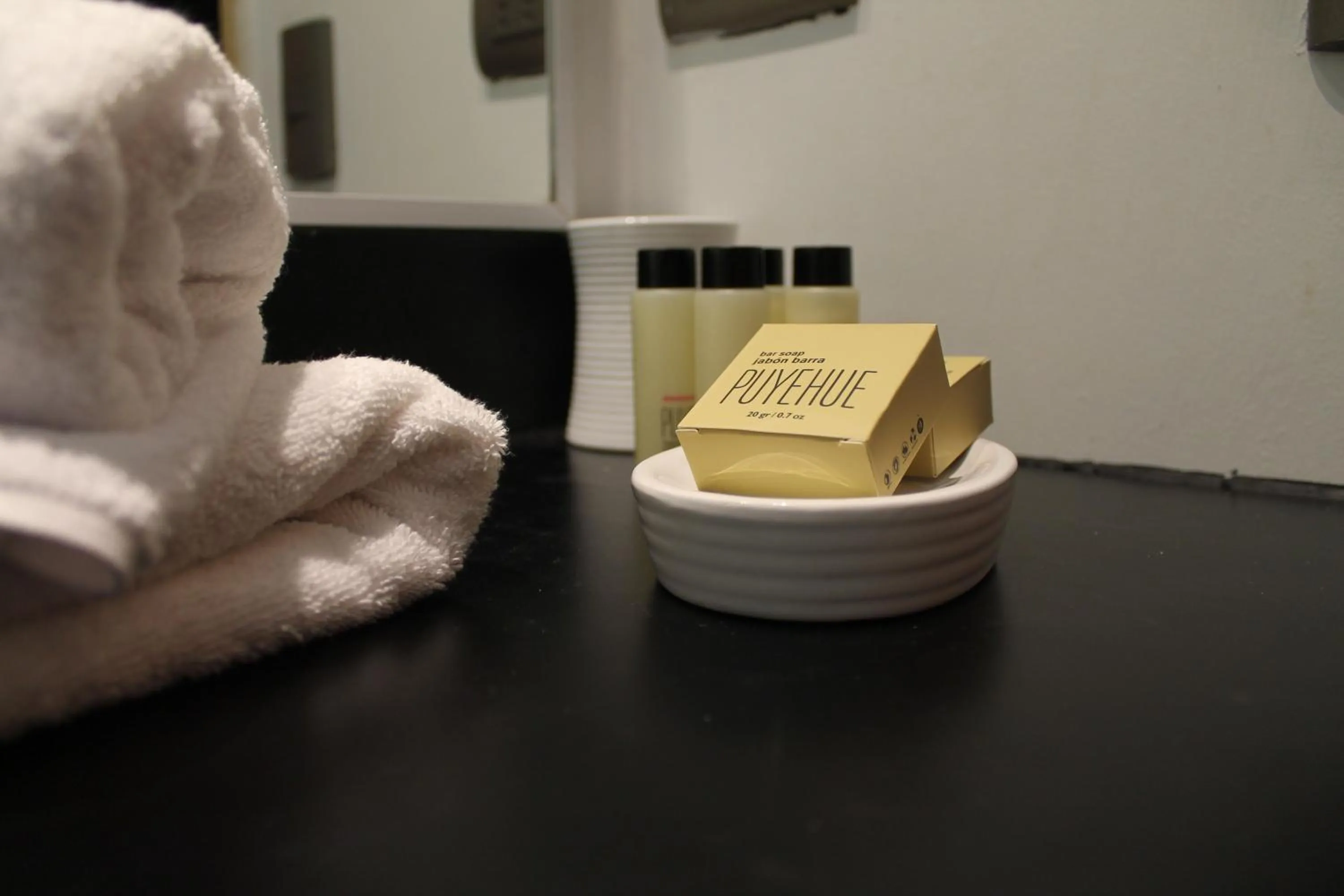 Toilet in Termas de Aguas Calientes