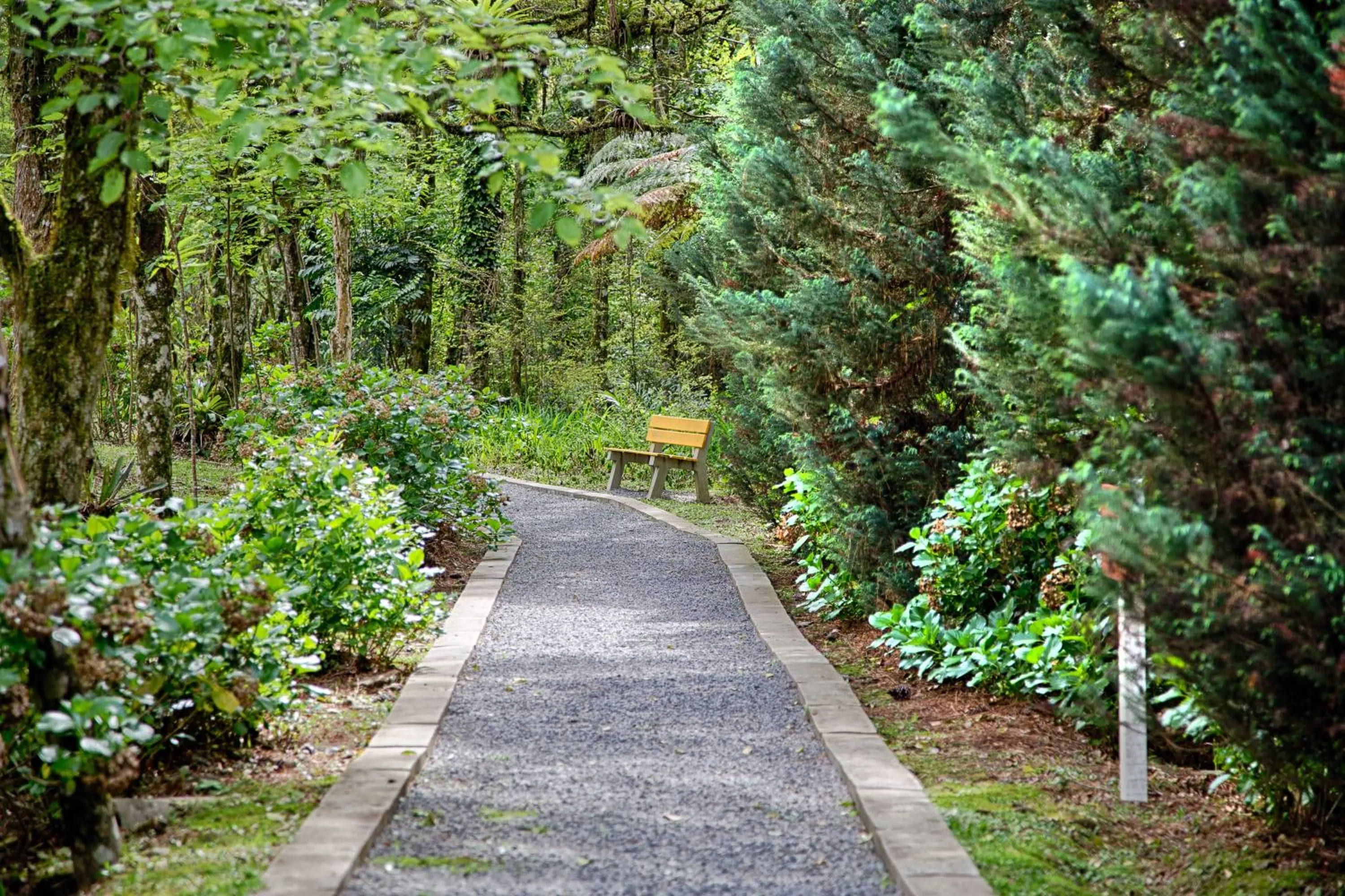 Day in Hotel Gramado Palace