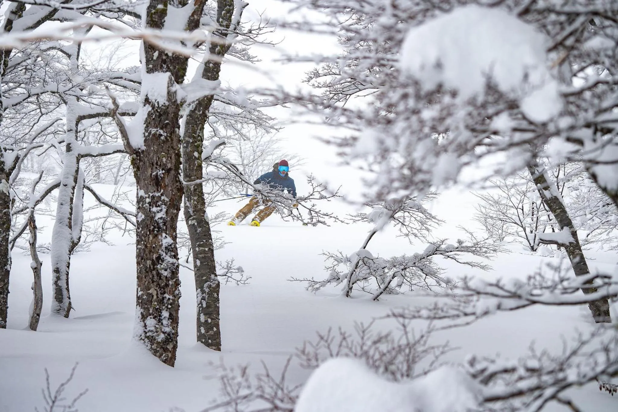 Hotel Termas Puyehue Wellness & Spa Resort