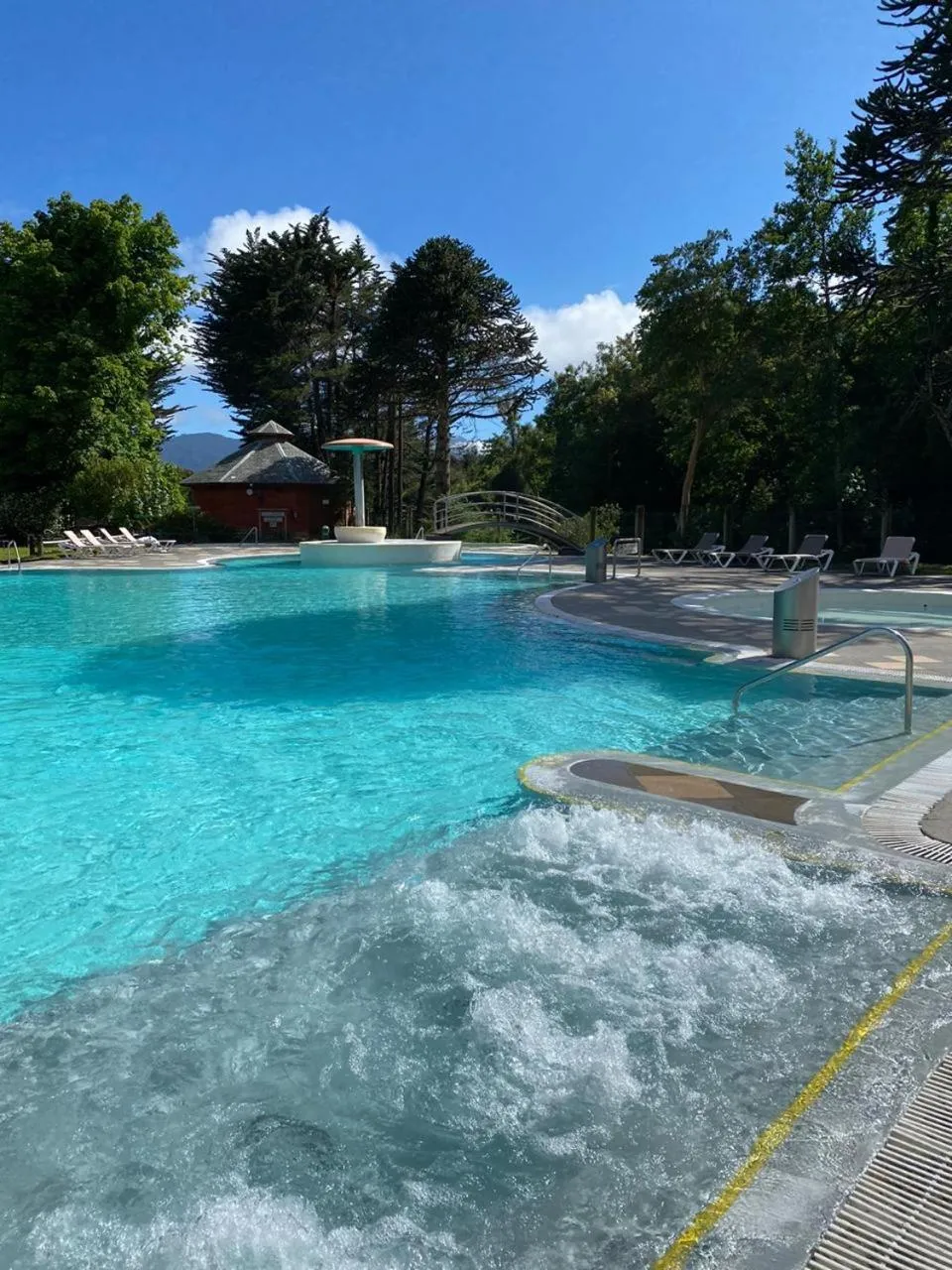 Swimming pool in Hotel Termas Puyehue Wellness & Spa Resort