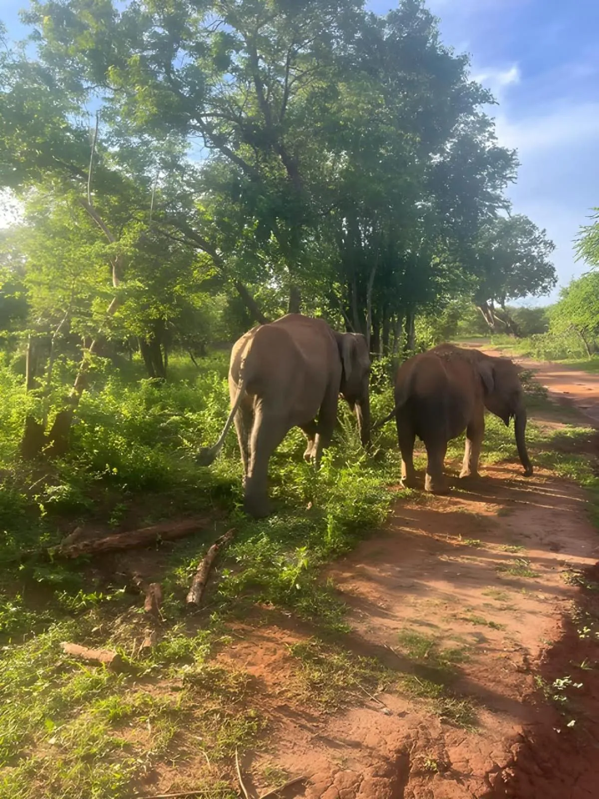 Natural landscape in Avian Garden Udawalawe