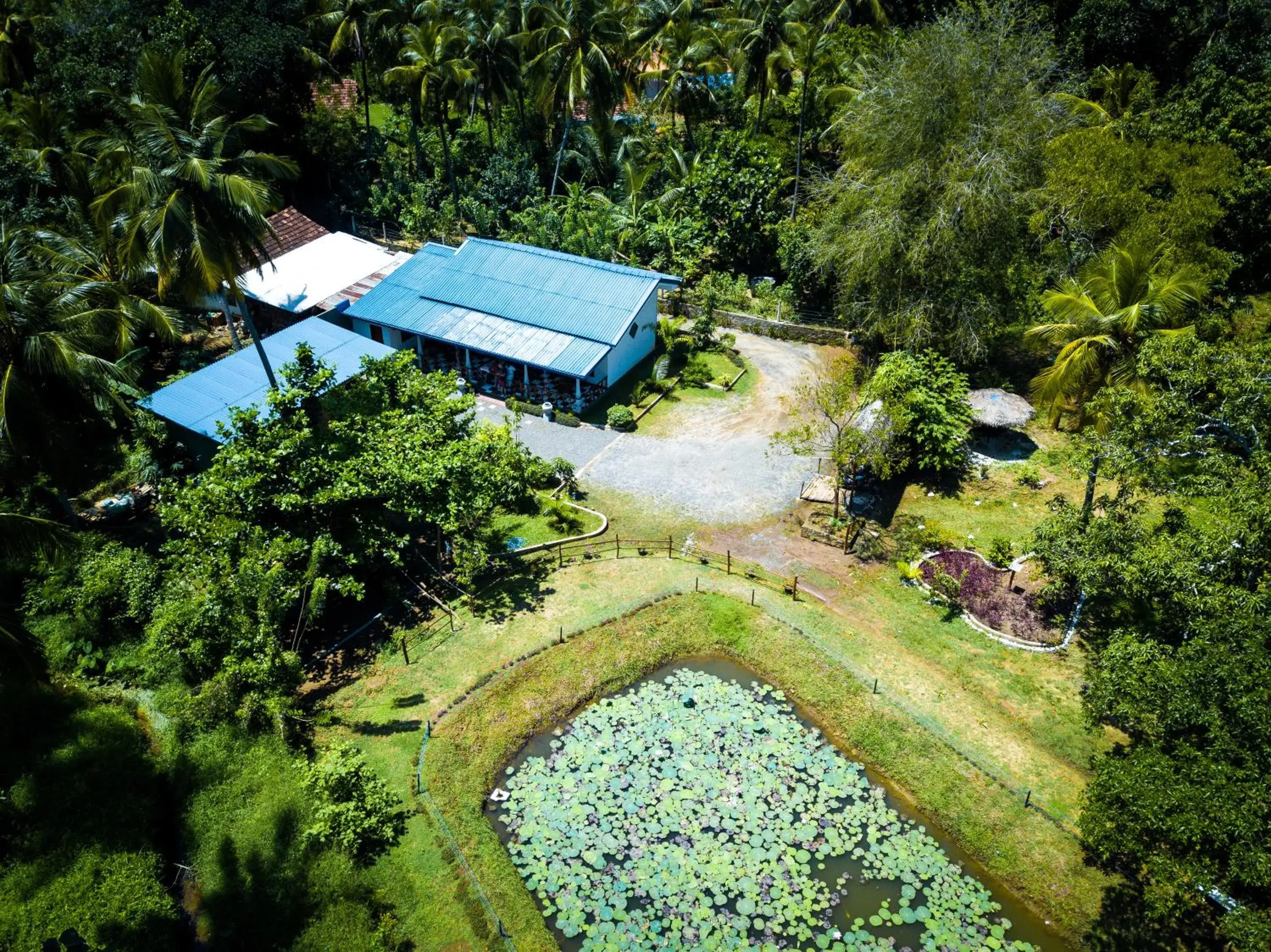 Avian Garden Udawalawe Avian Garden Udawalawe