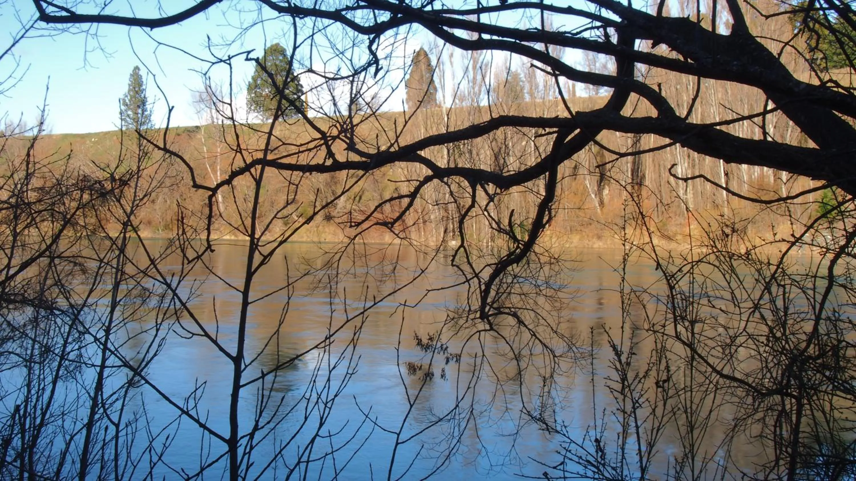 Natural landscape in Hartley Homestead Boutique Bed & Breakfast