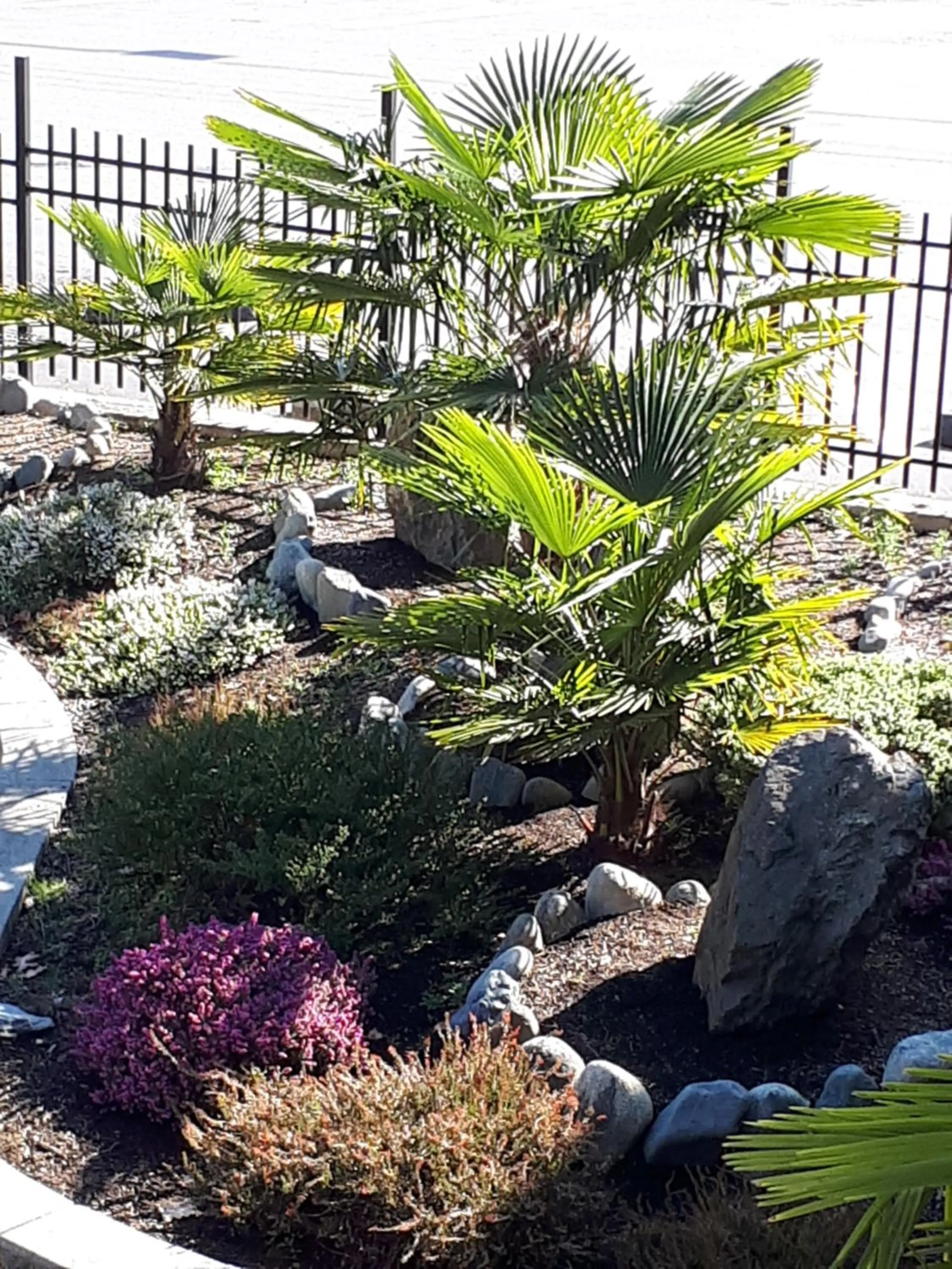 Garden view in Port-O-Call Inn