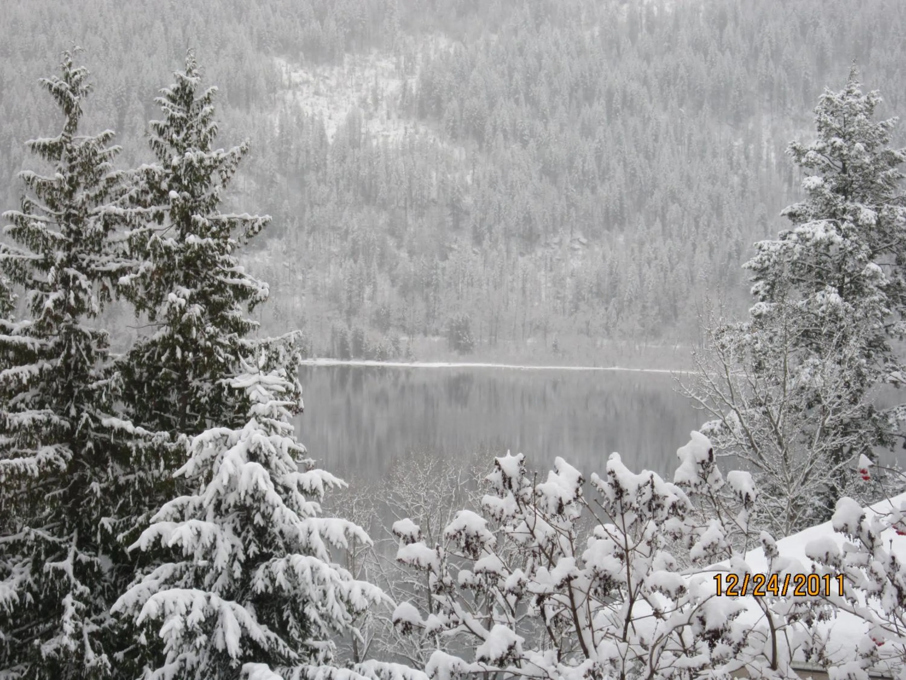 Natural landscape in Creekside B&B