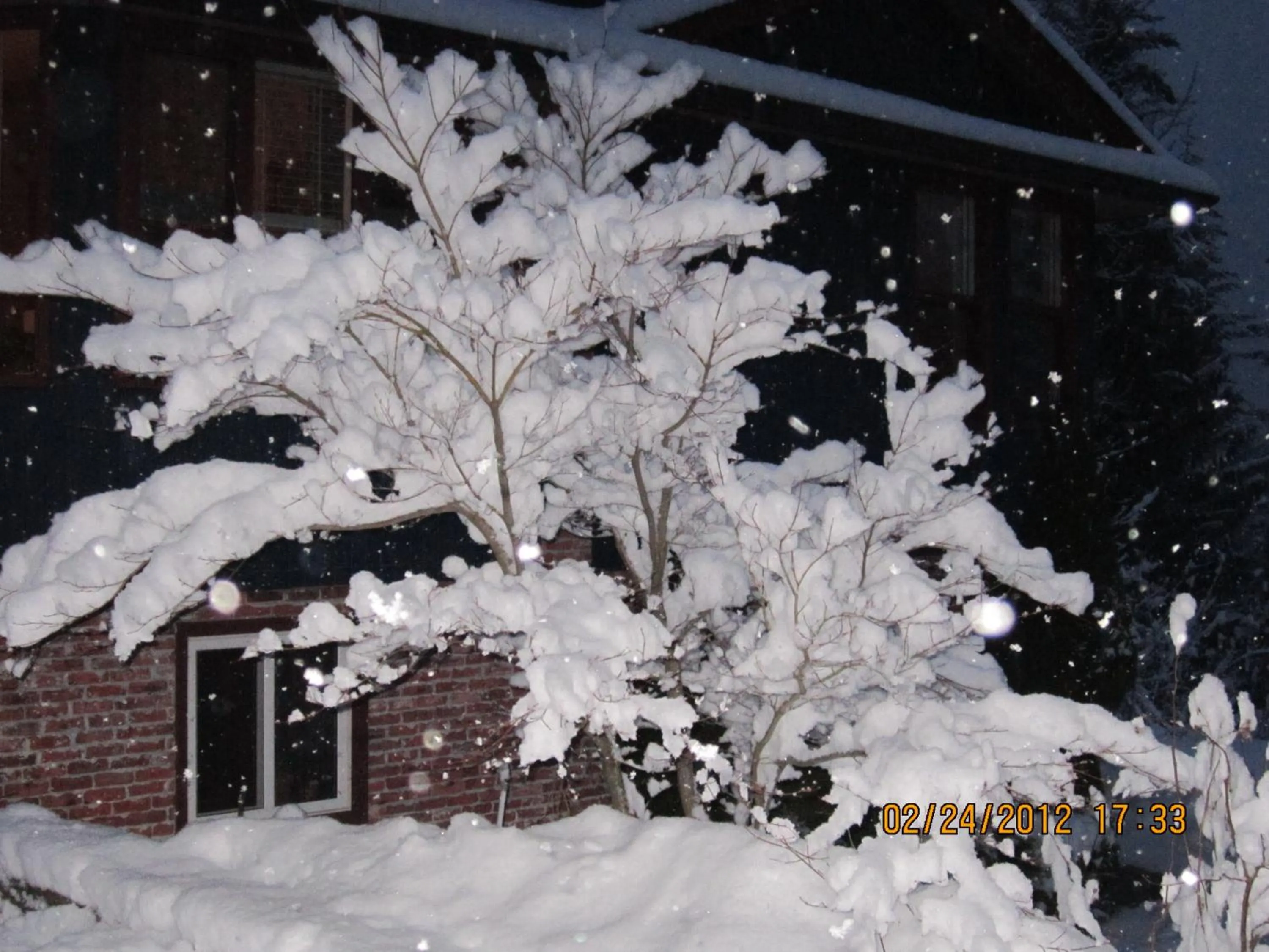 Winter in Creekside B&B