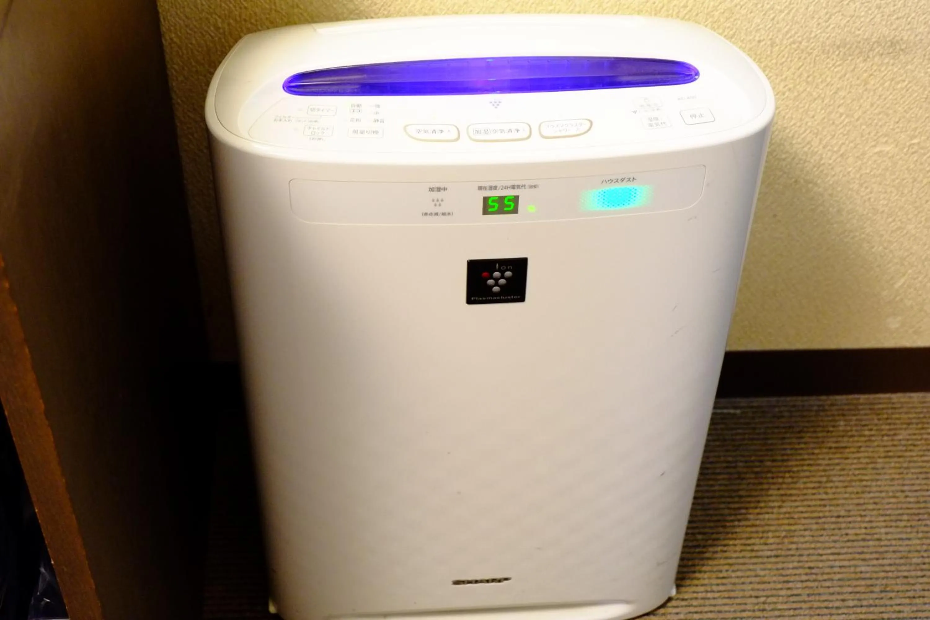 Decorative detail in Hotel Route-Inn Court Kofu Isawa