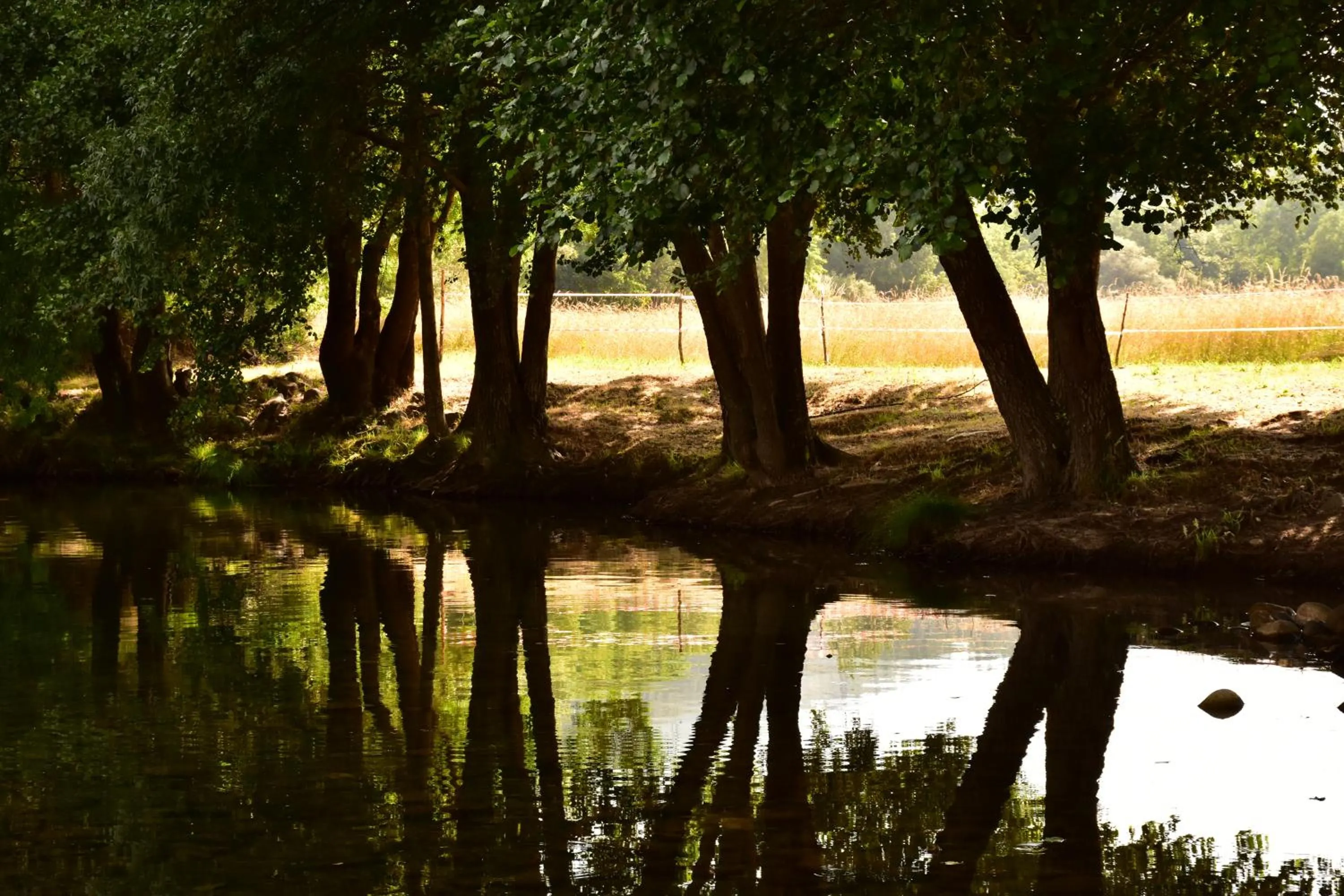 Beach in Casa Lagar Da Alagoa