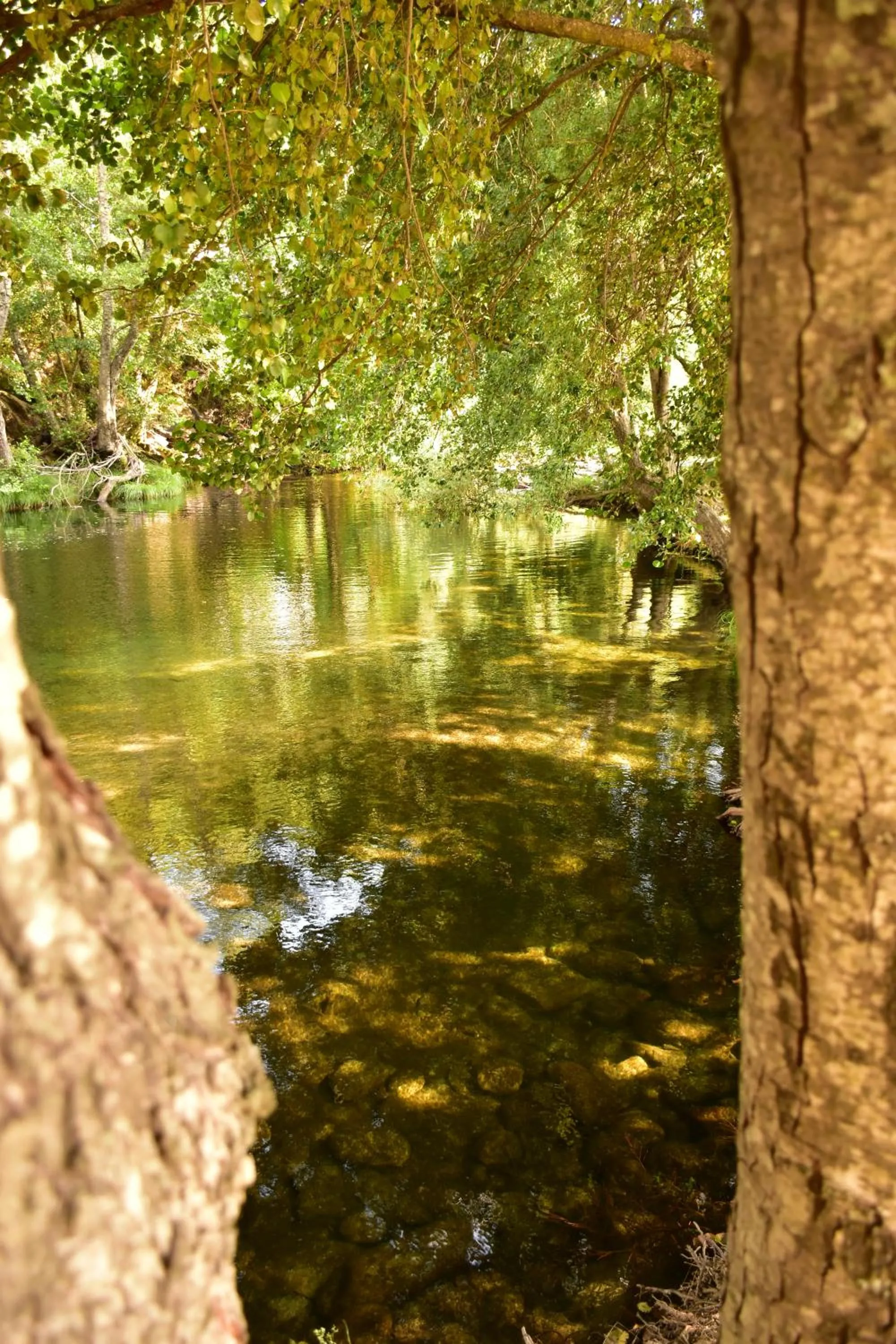 Beach in Casa Lagar Da Alagoa