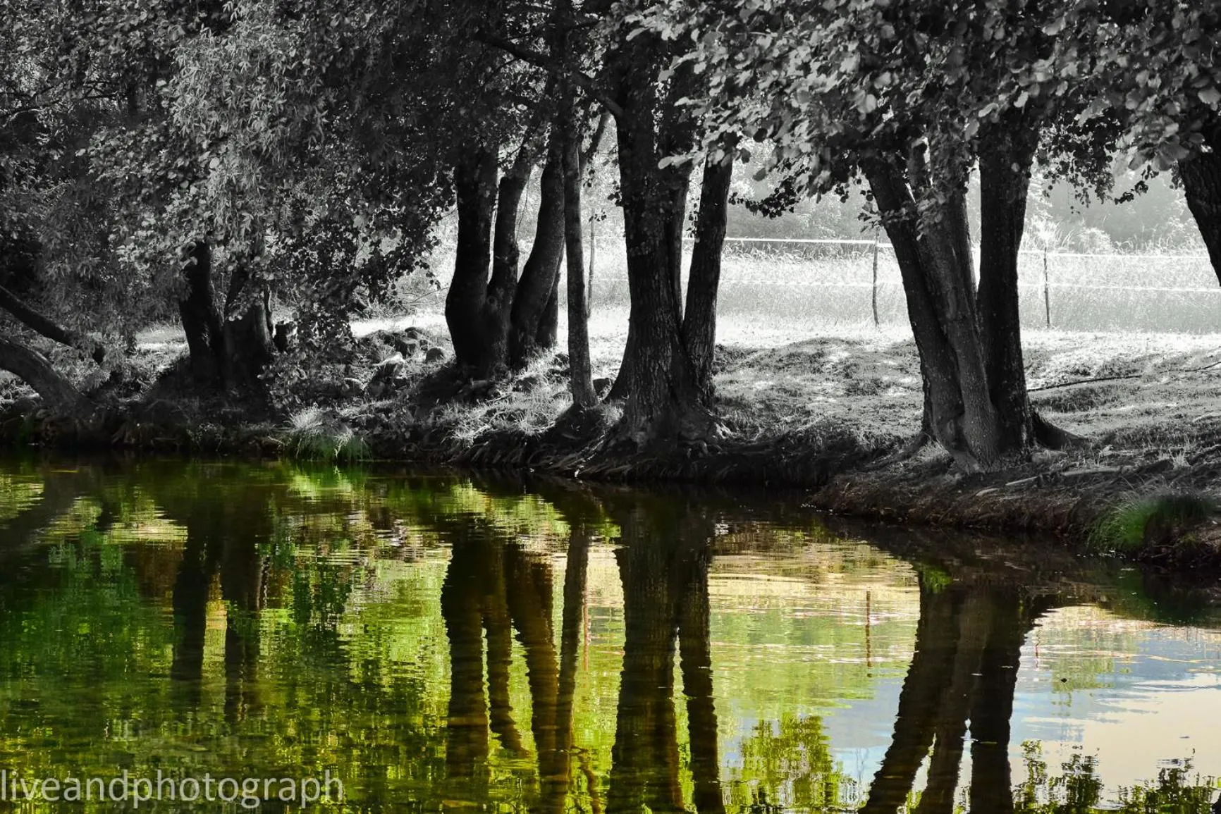 Lake view in Casa Lagar Da Alagoa