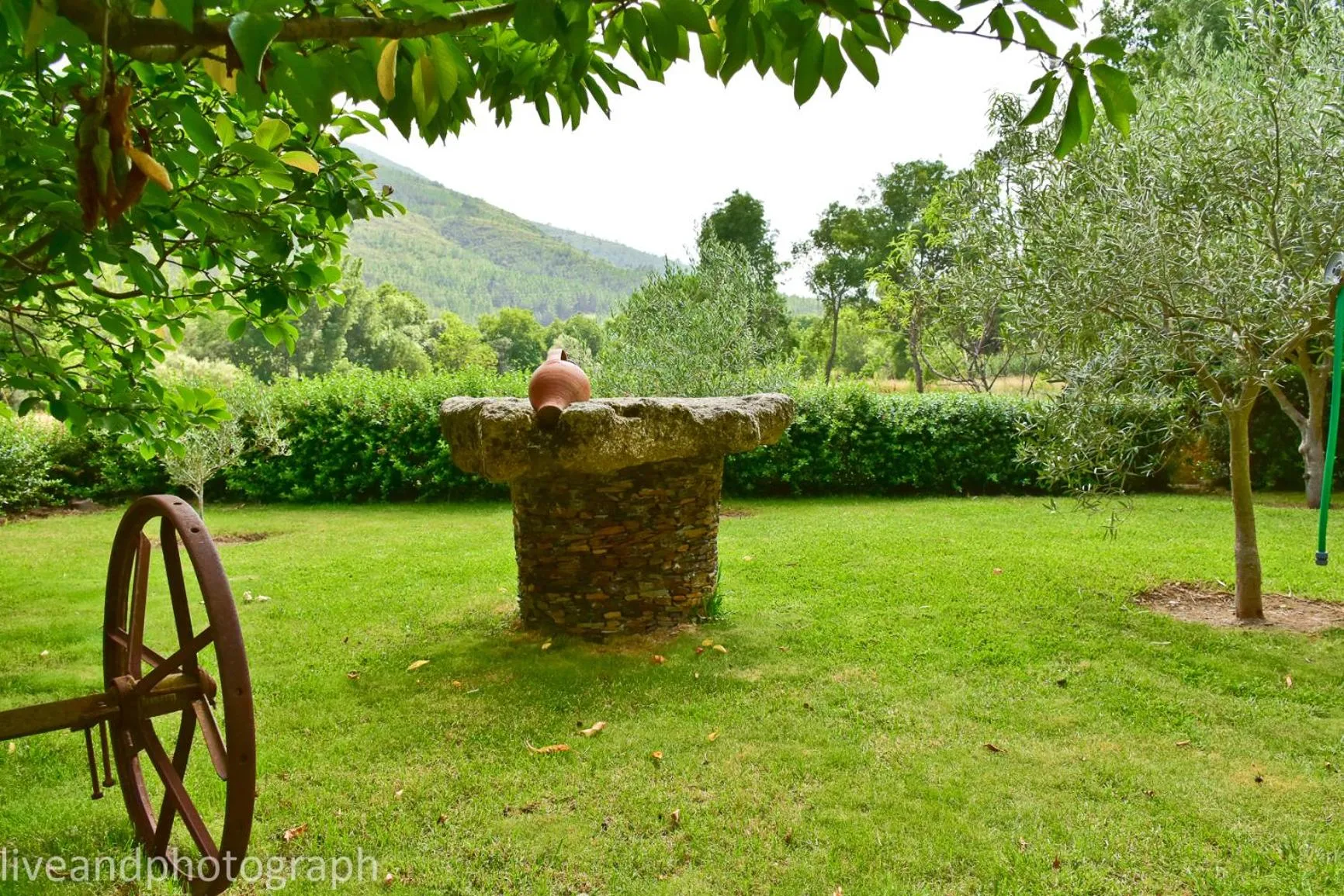 Garden view in Casa Lagar Da Alagoa