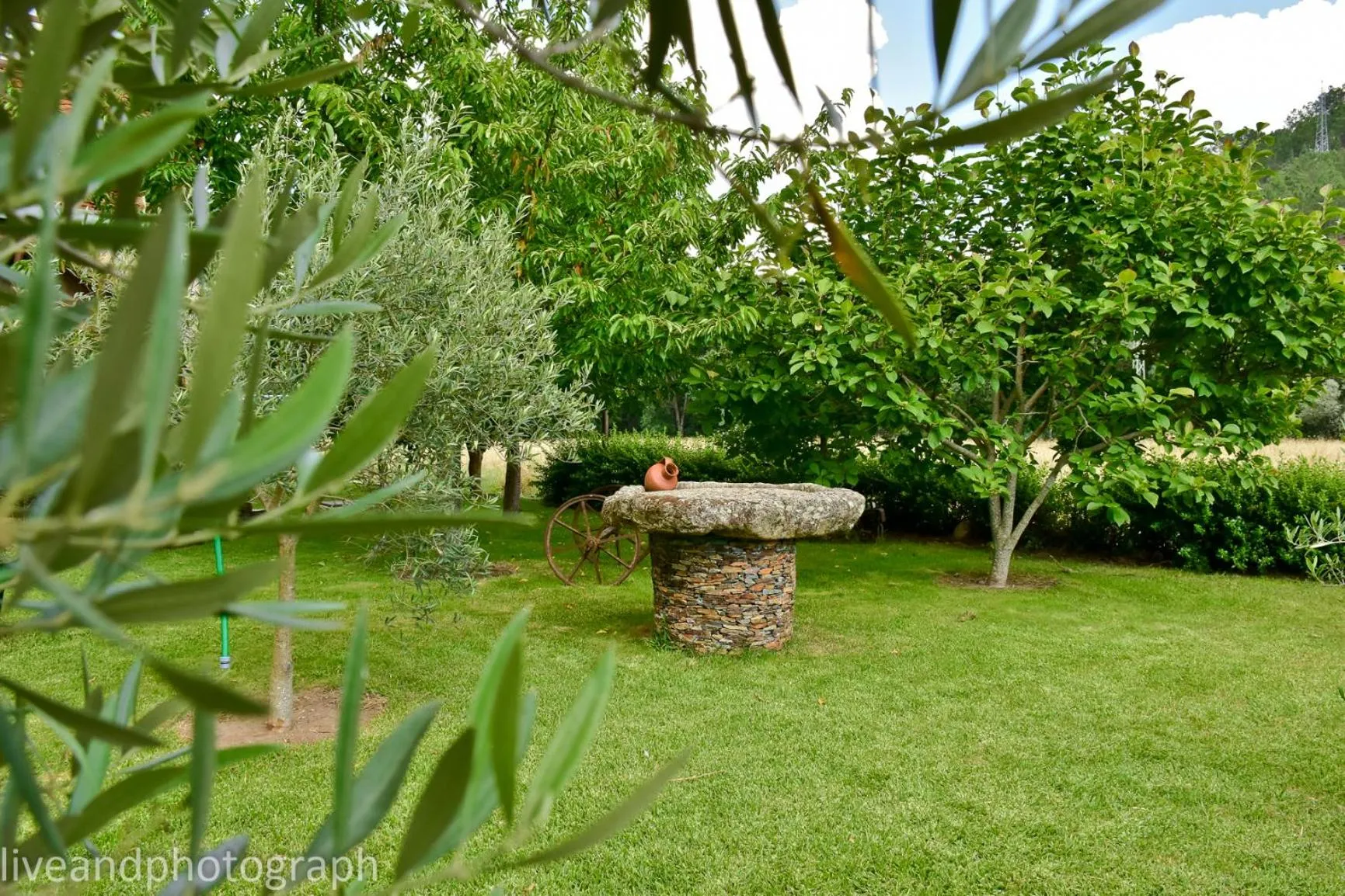 Garden view in Casa Lagar Da Alagoa