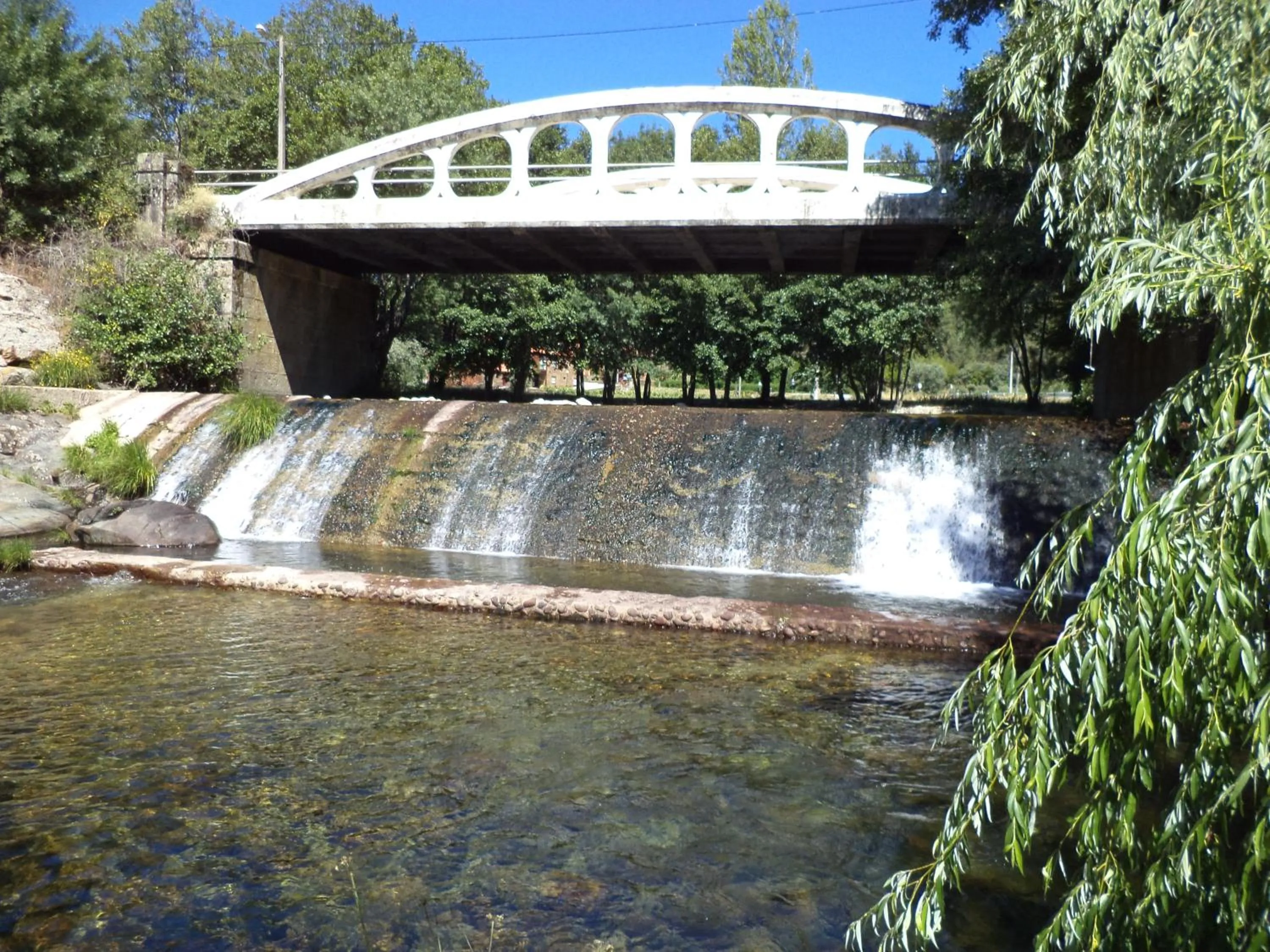 Fishing in Casa Lagar Da Alagoa