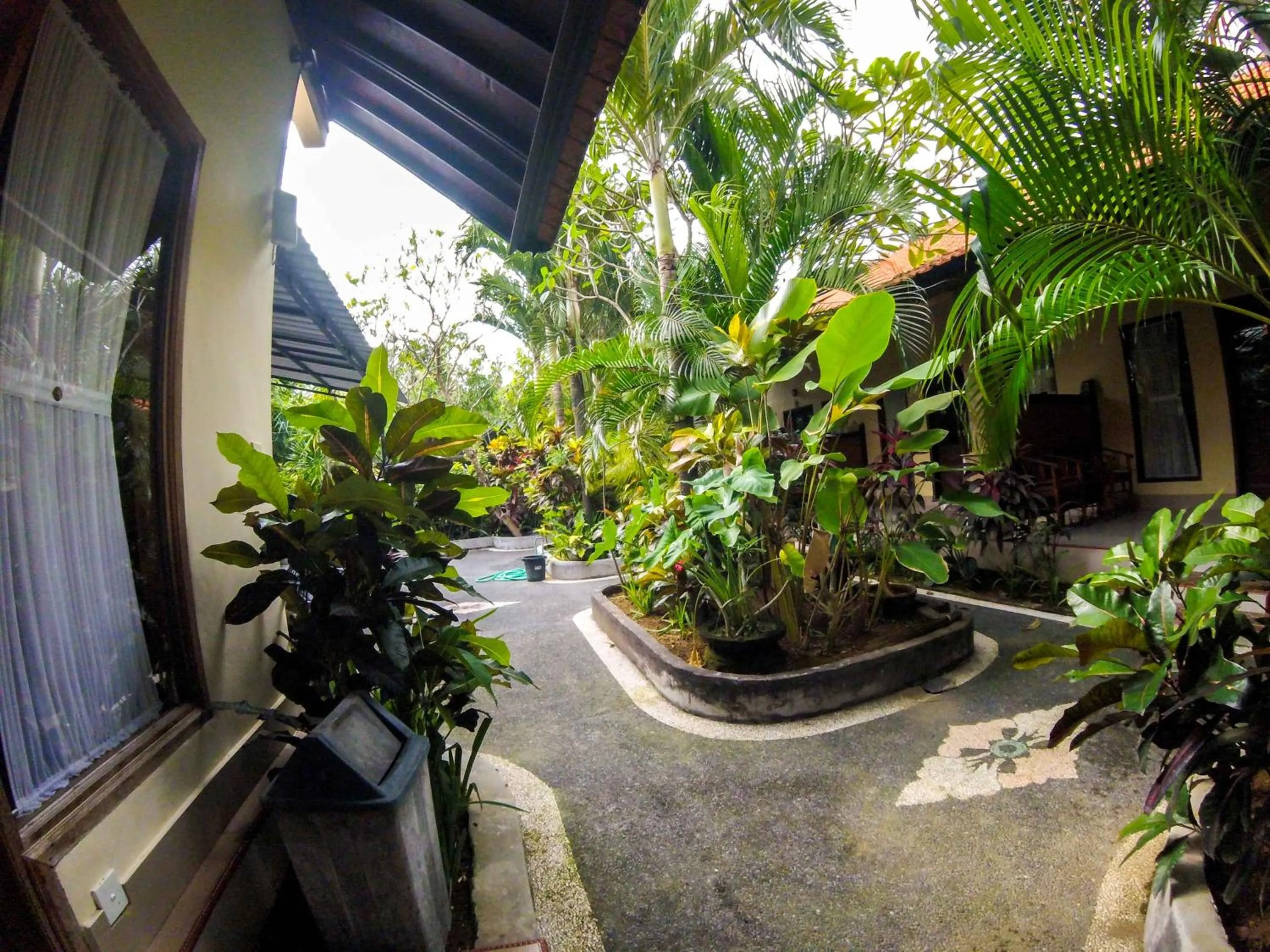 Balcony/Terrace in Putu Guest House