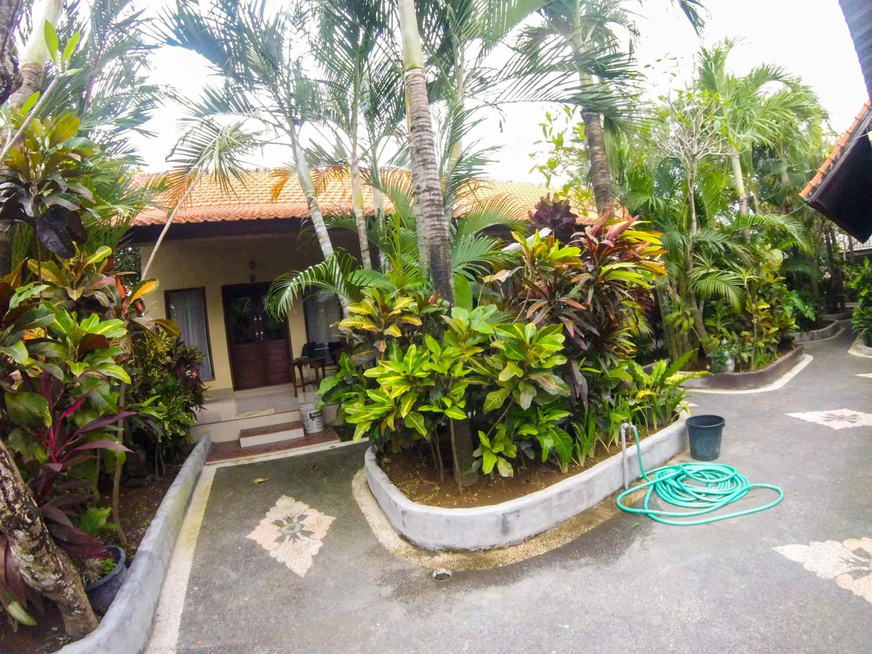 Balcony/Terrace in Putu Guest House