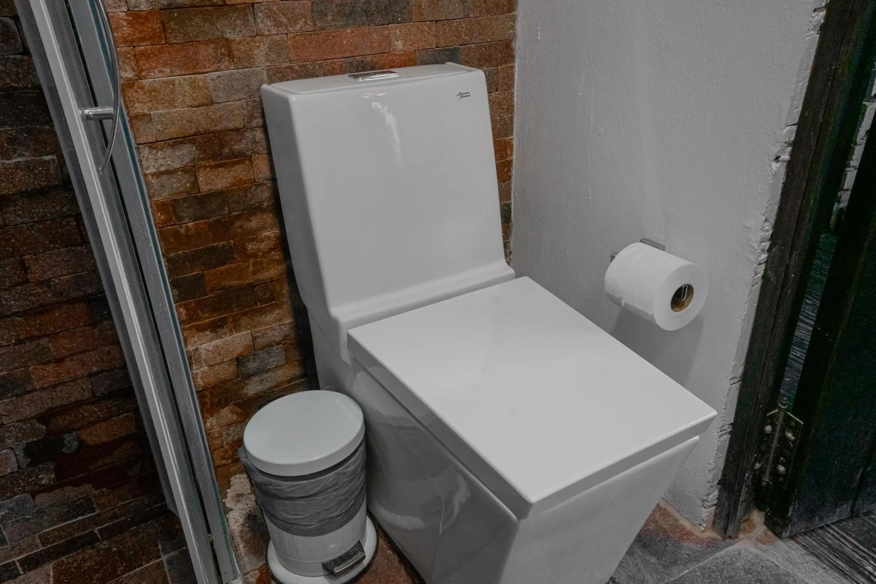 Toilet in Mineral del Cielo