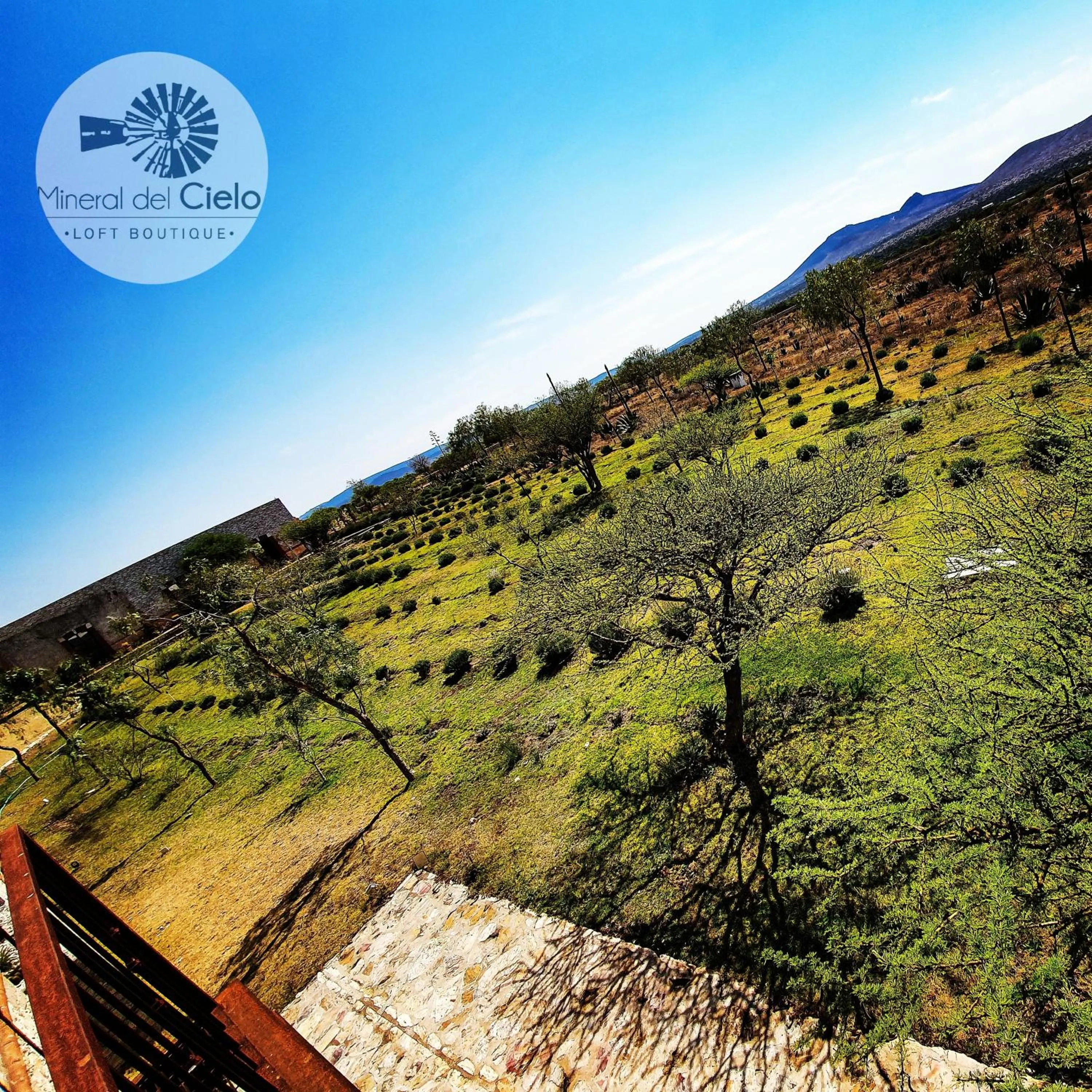 Natural landscape in Mineral del Cielo