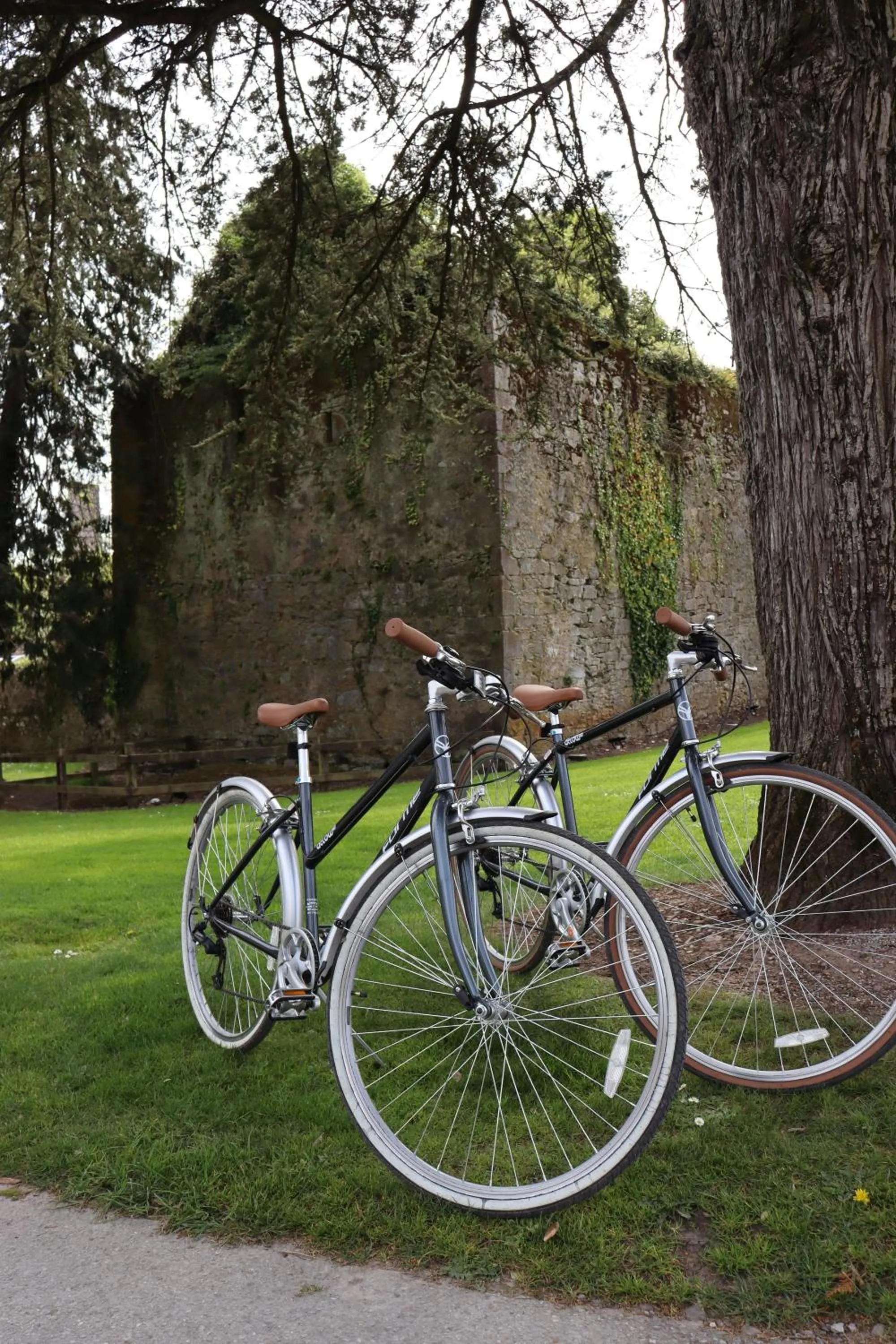 Activities in Castlemartyr Resort Hotel