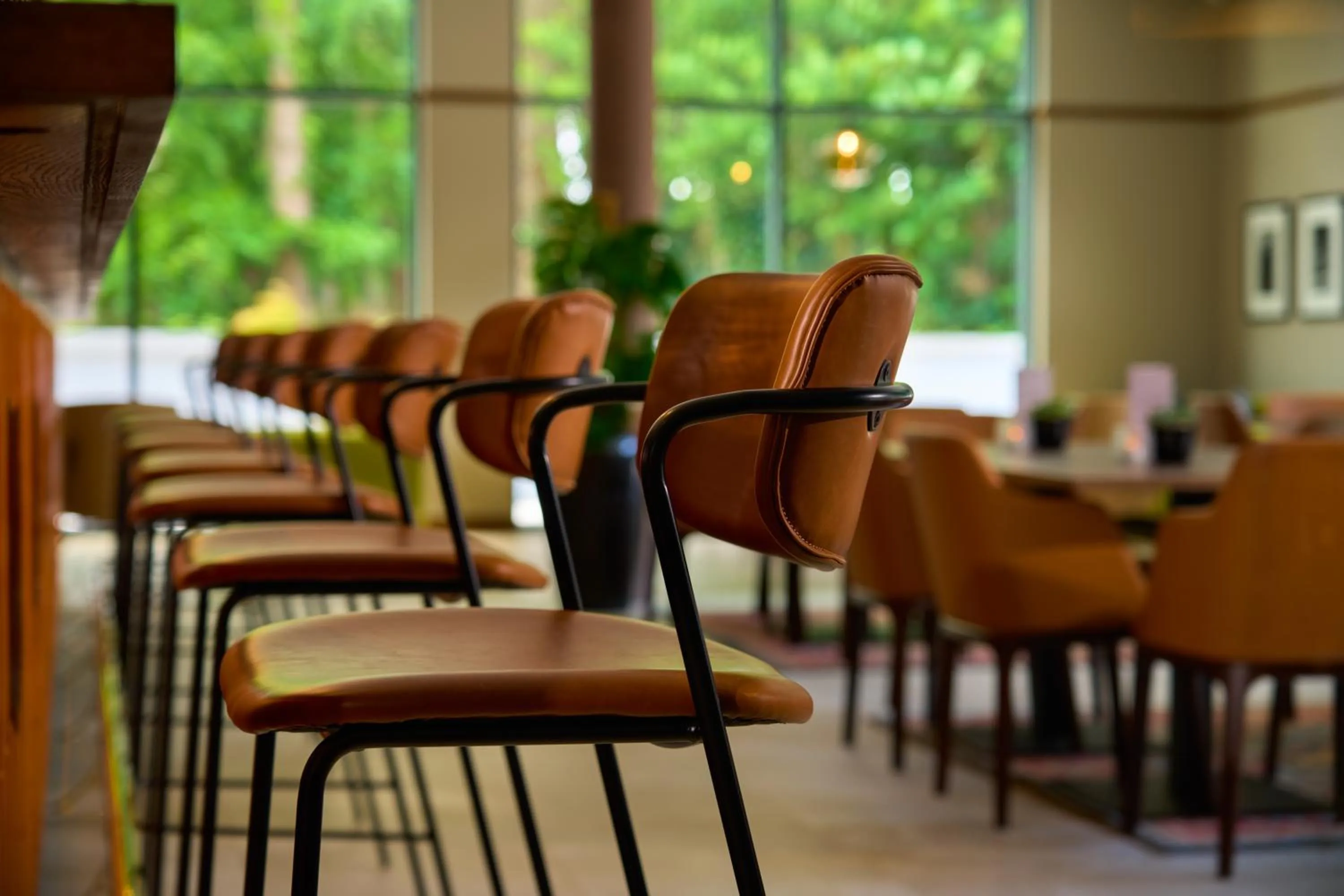 Restaurant/places to eat in Castlemartyr Resort Hotel