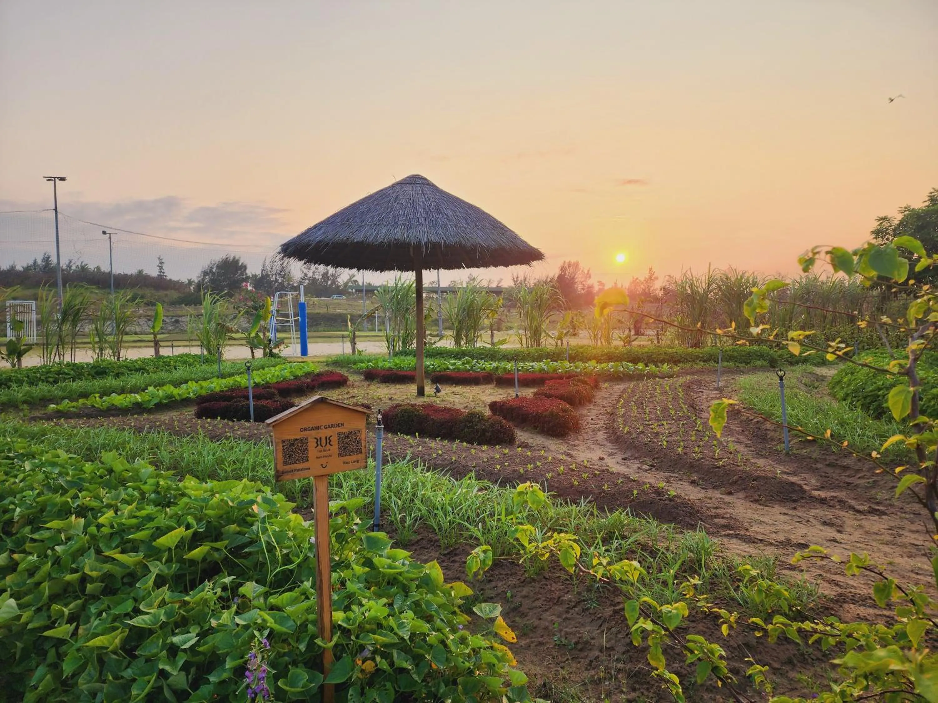 Garden in TUI BLUE Nam Hoi An Resort