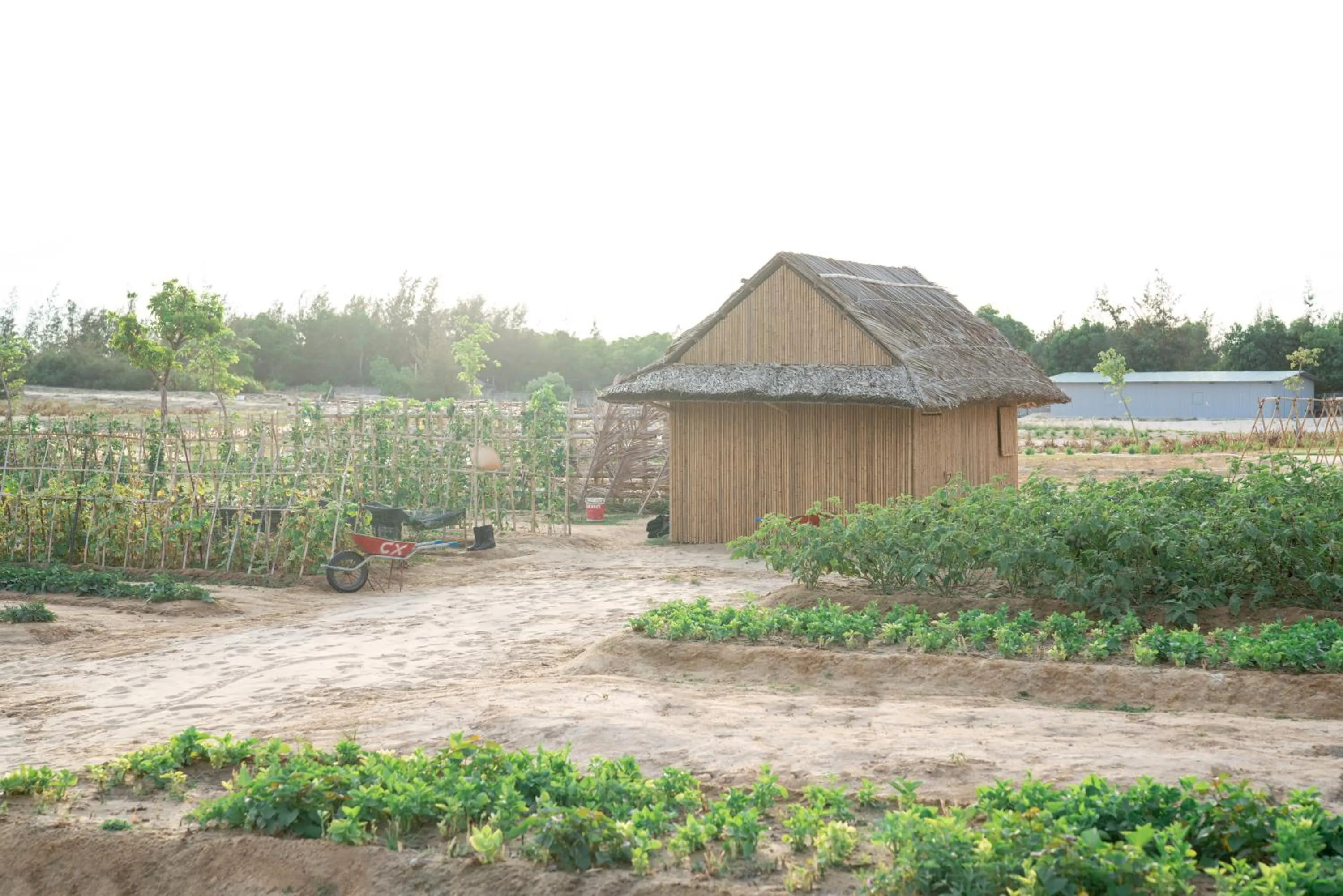 Garden in TUI BLUE Nam Hoi An Resort