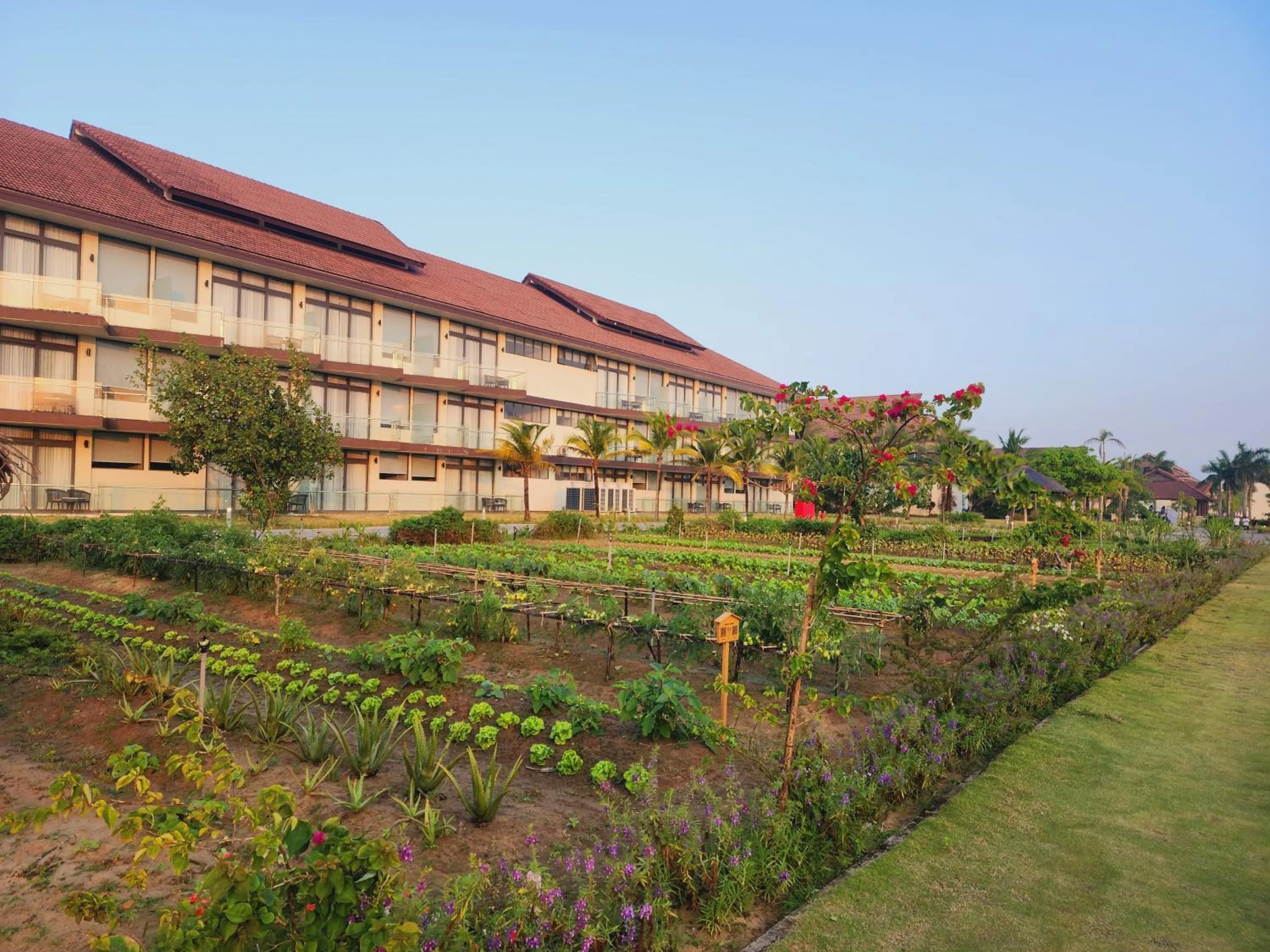 Garden in TUI BLUE Nam Hoi An Resort