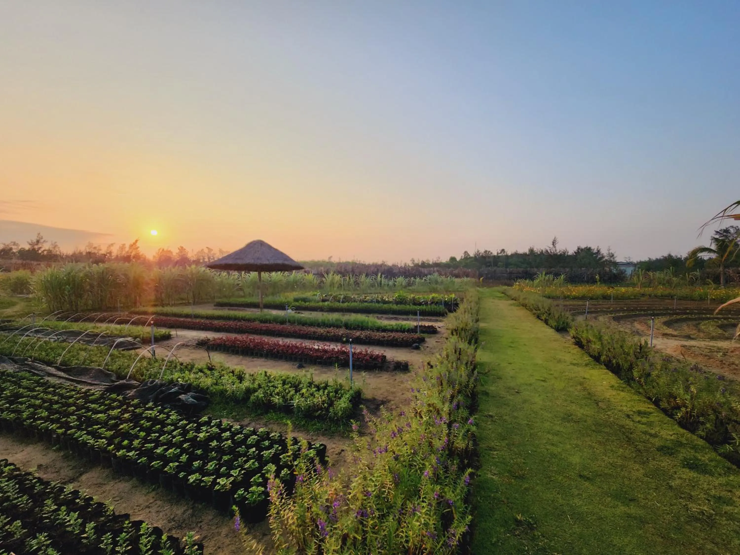 Garden in TUI BLUE Nam Hoi An Resort