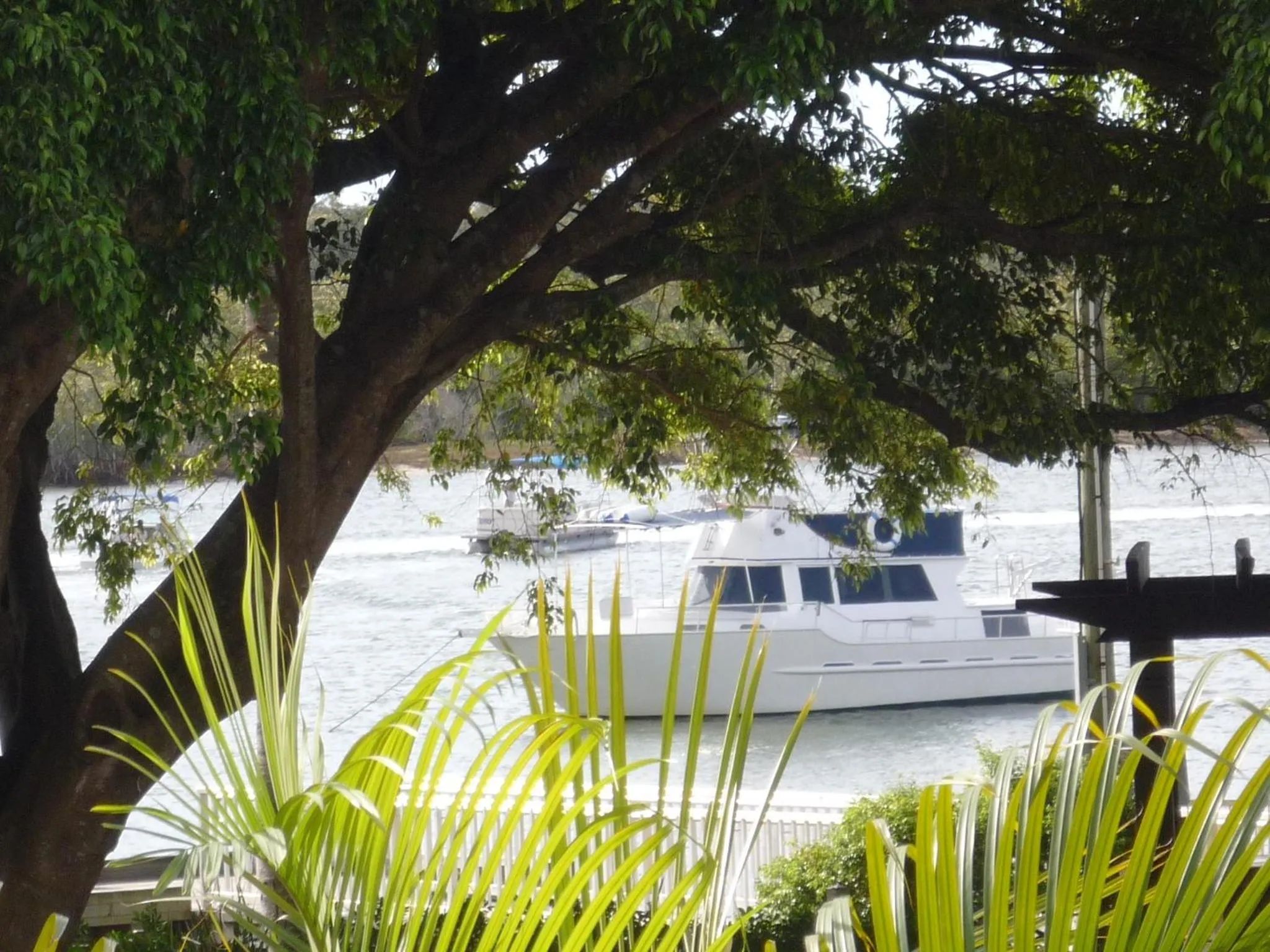 Day in Regatta Noosa