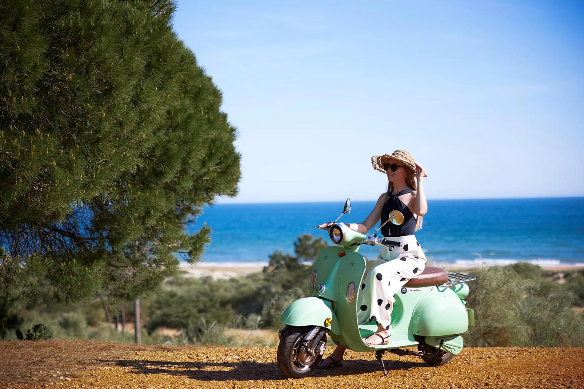 Entertainment in Octant Praia Verde