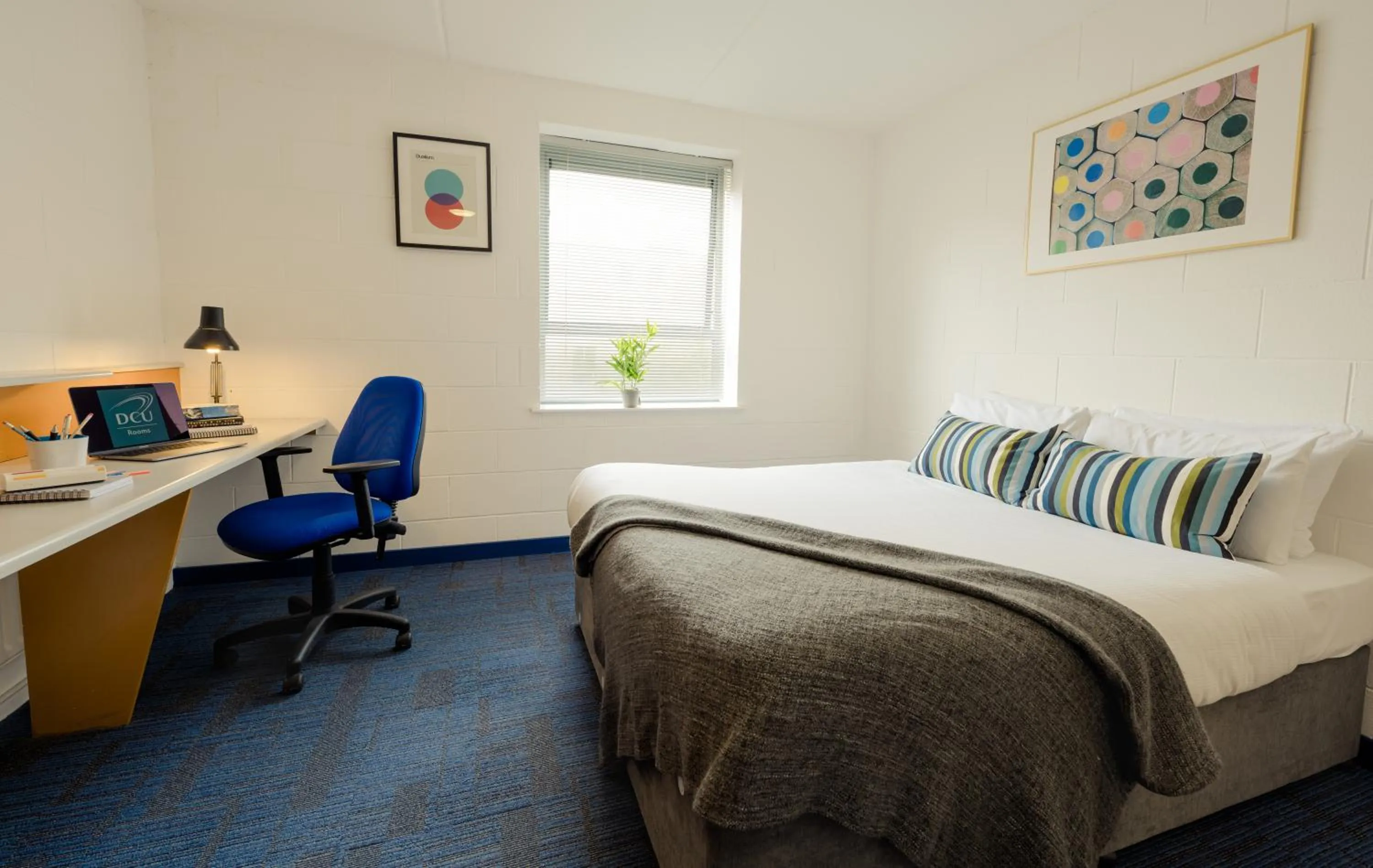 Photo of the whole room, Bed in DCU Rooms Glasnevin - Campus Accommodation