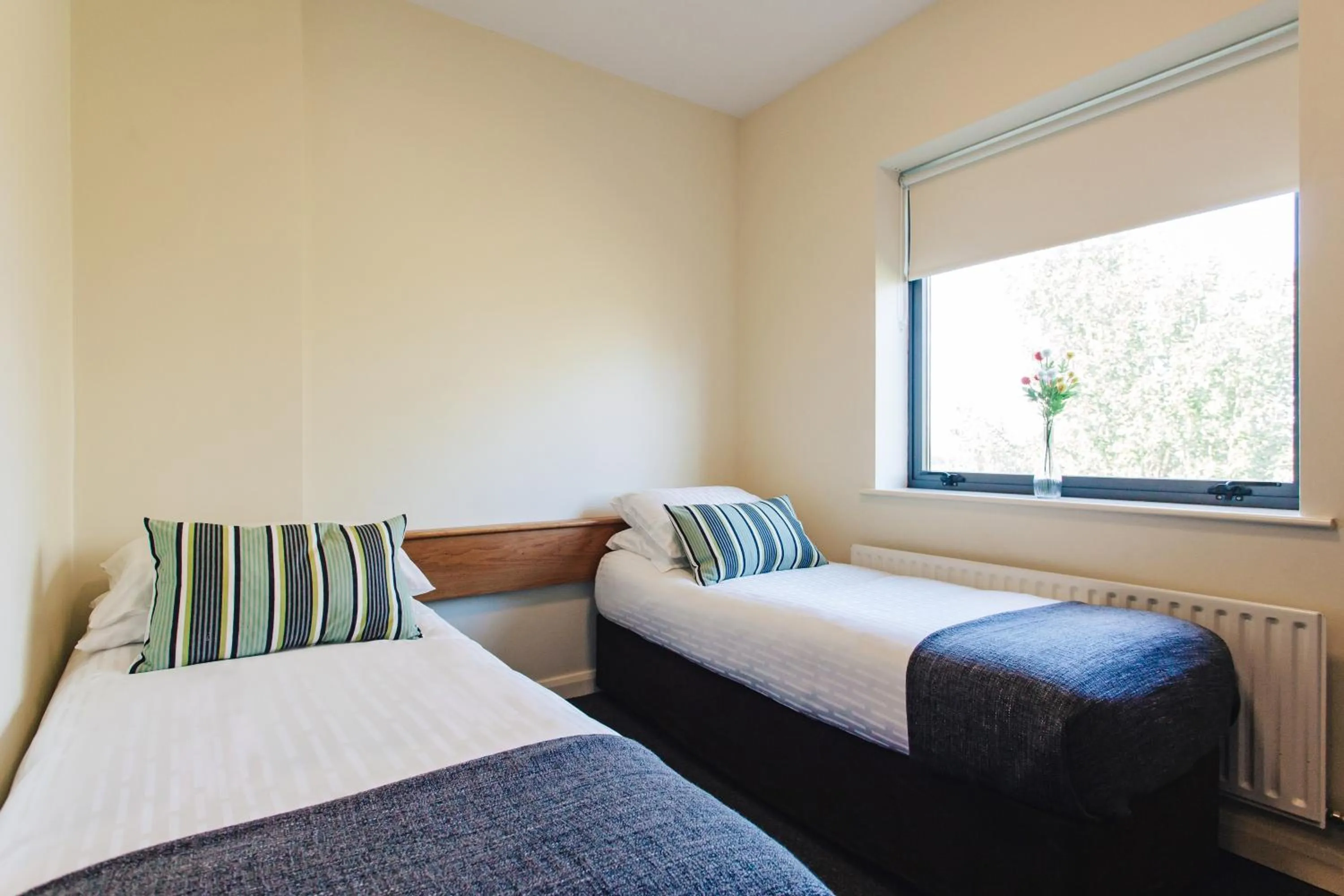 TV and multimedia, Bed in DCU Rooms Glasnevin - Campus Accommodation