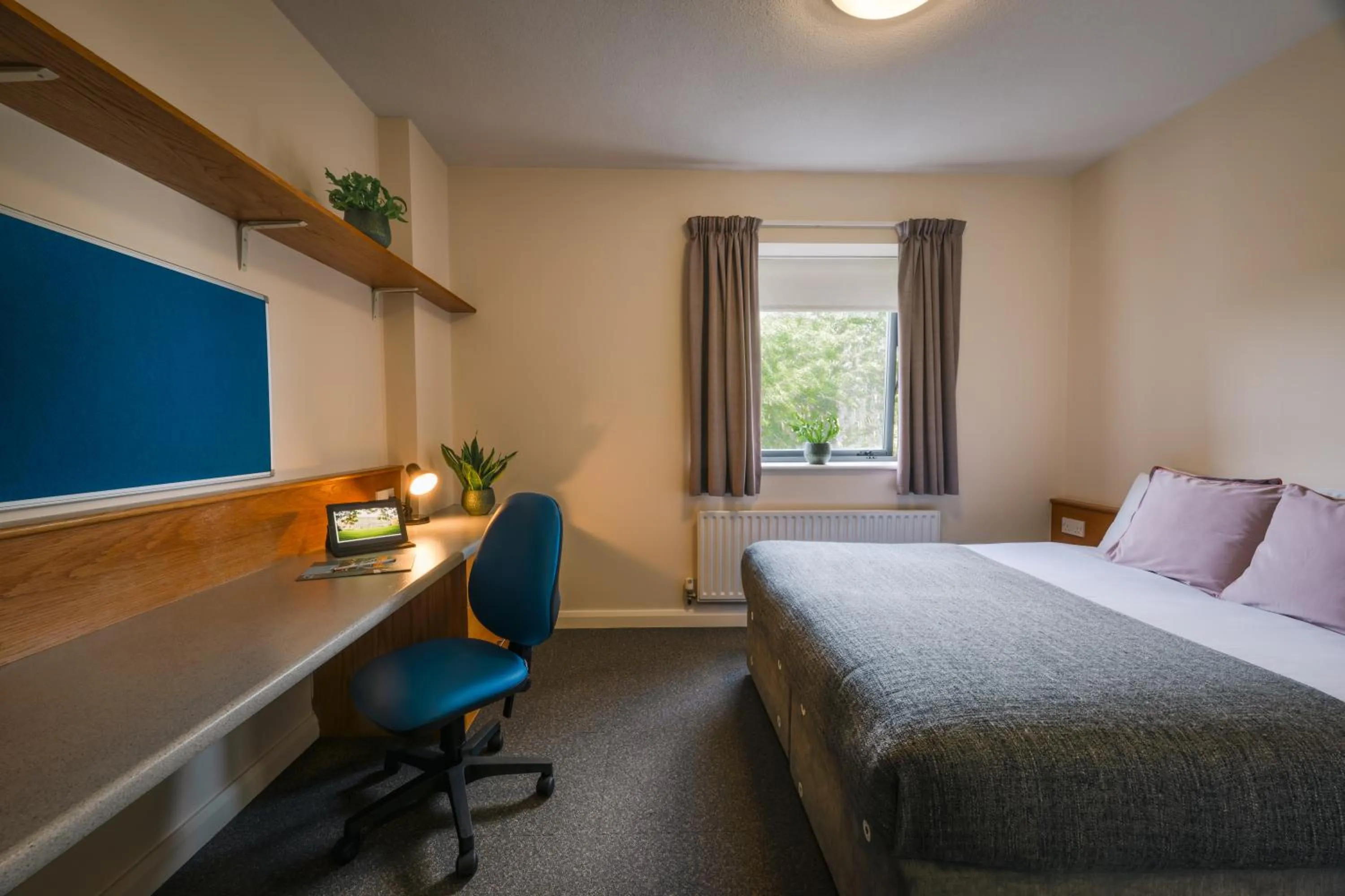 Photo of the whole room, Bed in DCU Rooms Glasnevin - Campus Accommodation