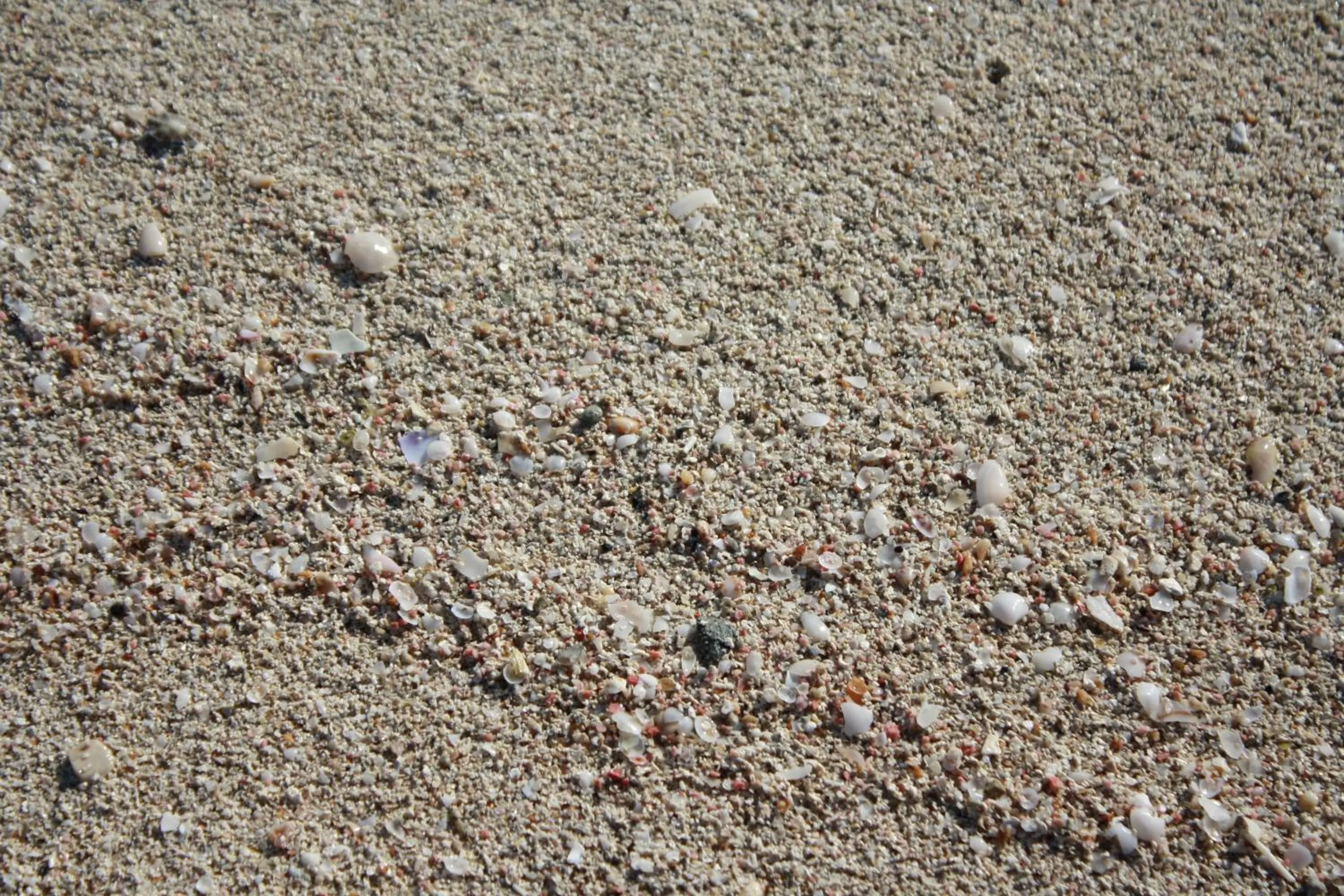 Beach in Hotel Riva Del Sole