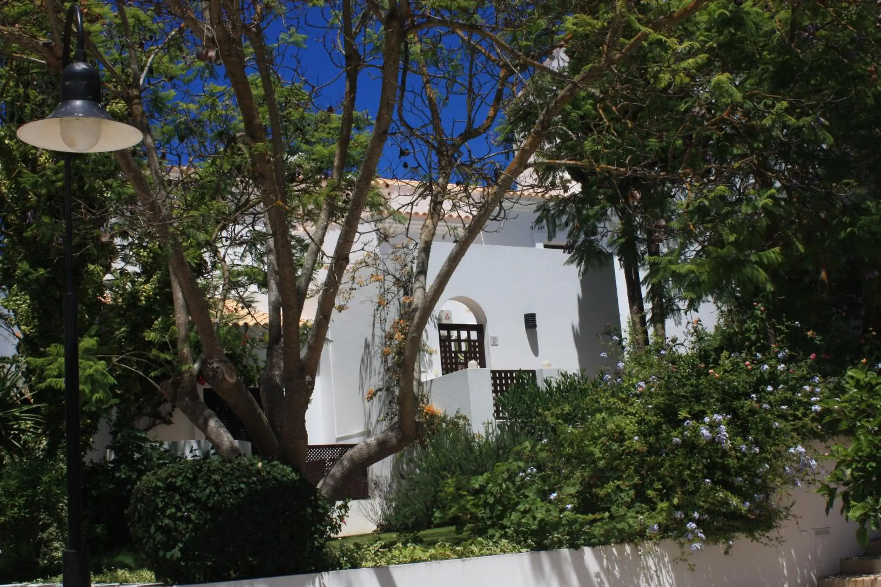 One-Bedroom Apartment in Pine Cliffs Village One-Bedroom Apartment in Pine Cliffs Village