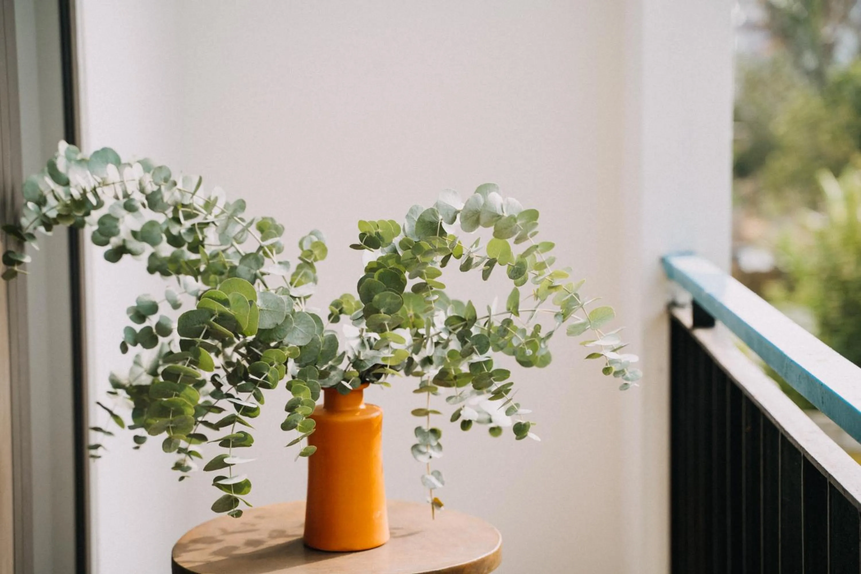 The Cuckoo's Nest Hostel and Bar managed by Hoianese