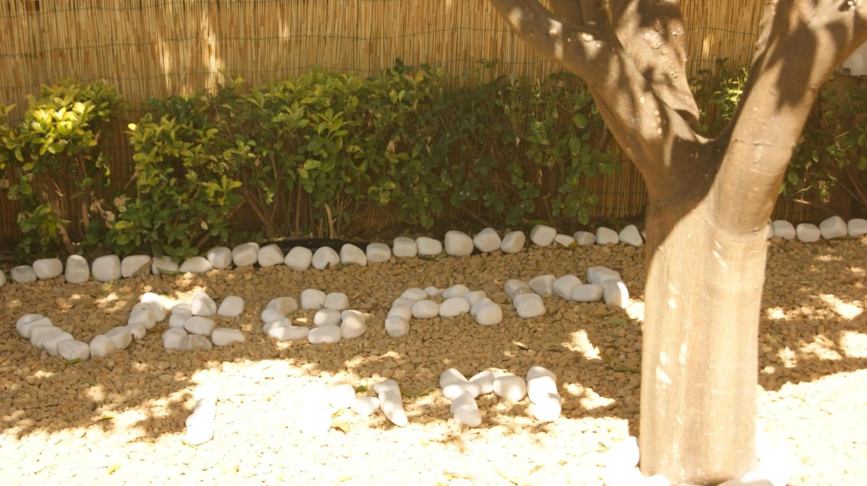 Garden in Vegan Inn Airport - Adults Only - LATE CHECK IN