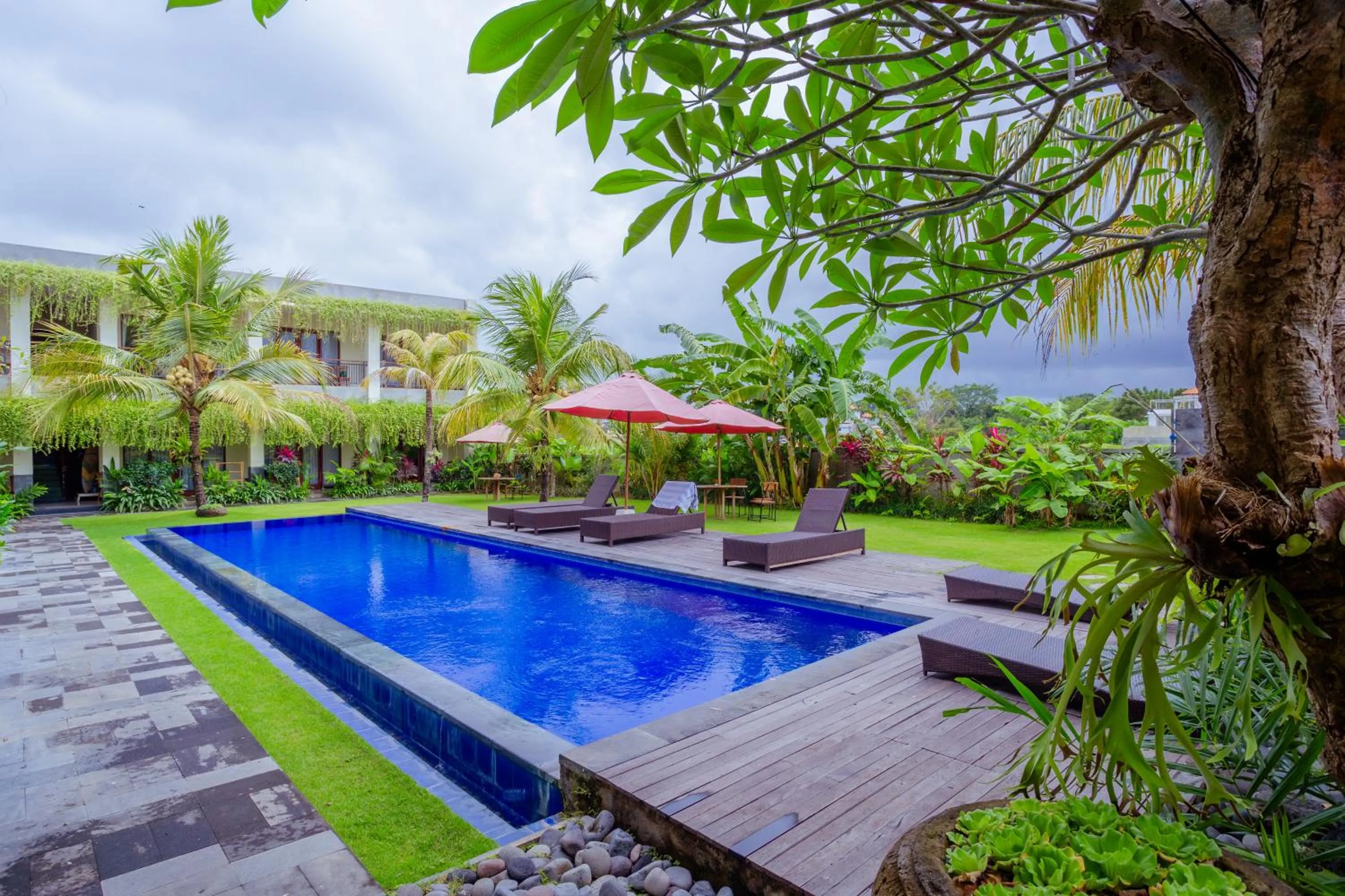 Swimming pool in Puri Canggu Rooms 2