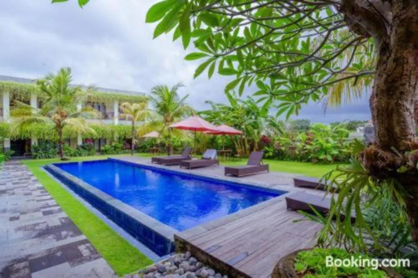 Swimming pool in Puri Canggu Rooms 2