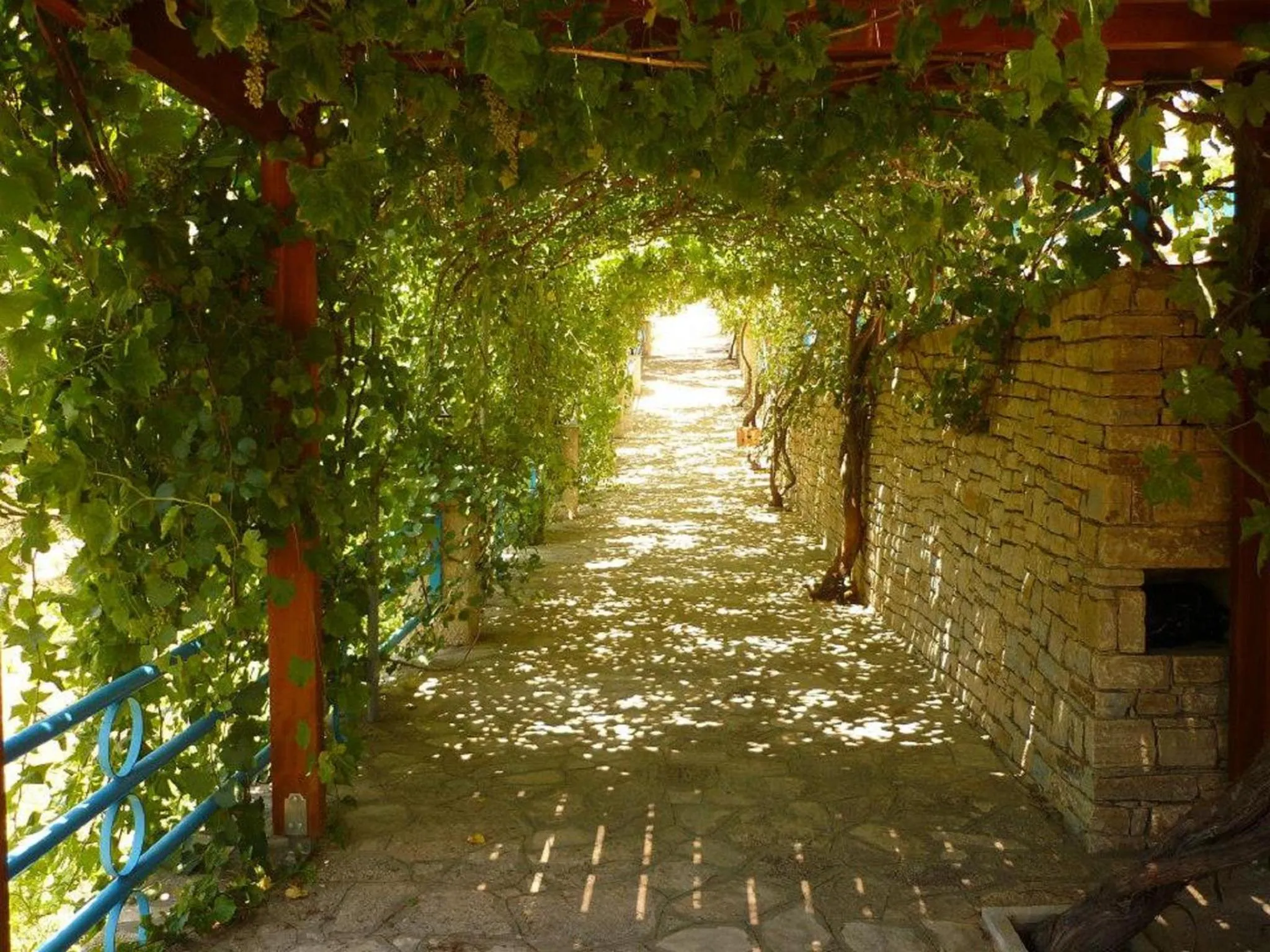 Area and facilities in Pantheon Apartments & Studios