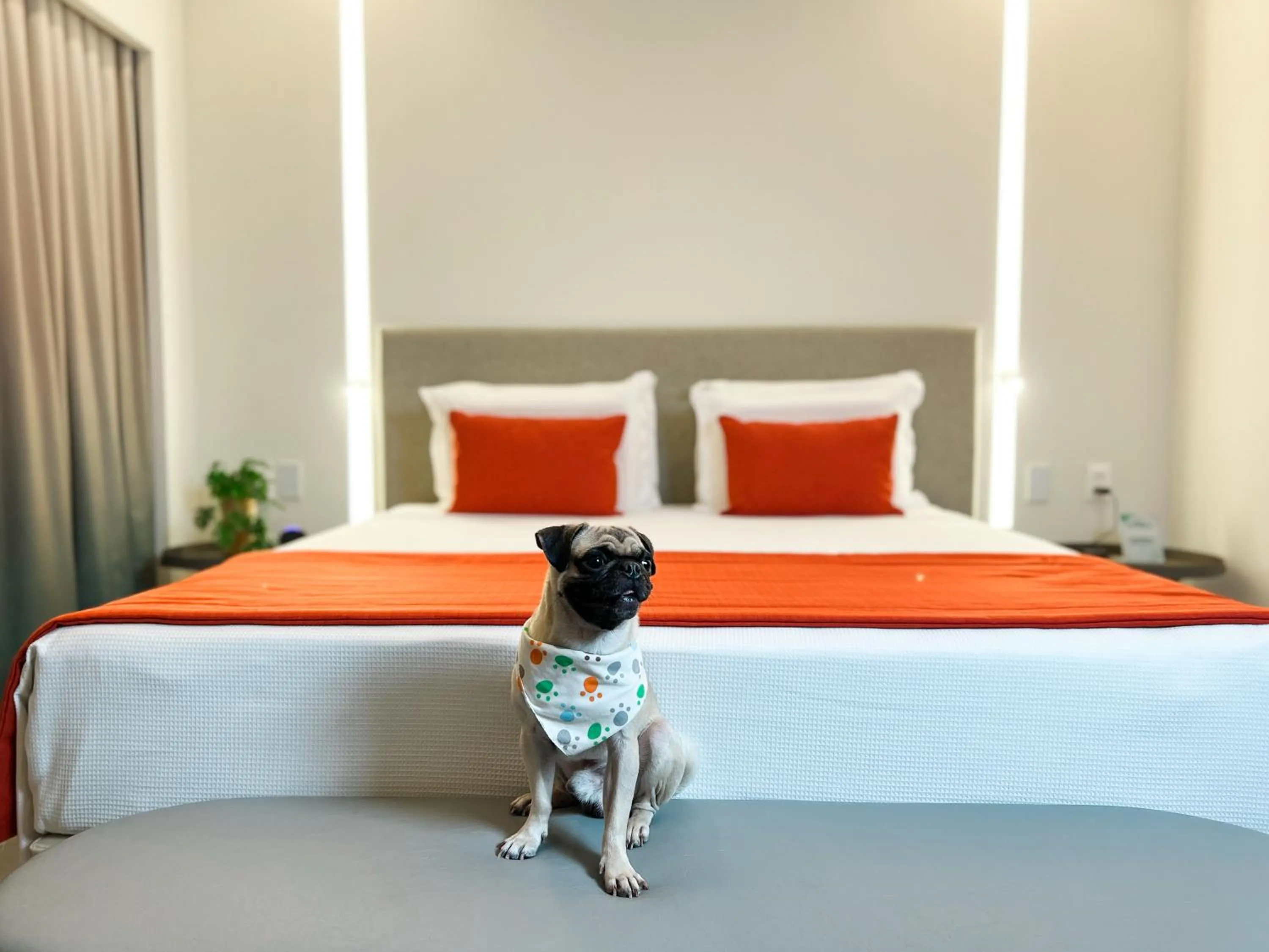 Bedroom, Bed in Japaratinga Lounge Resort - All Inclusive