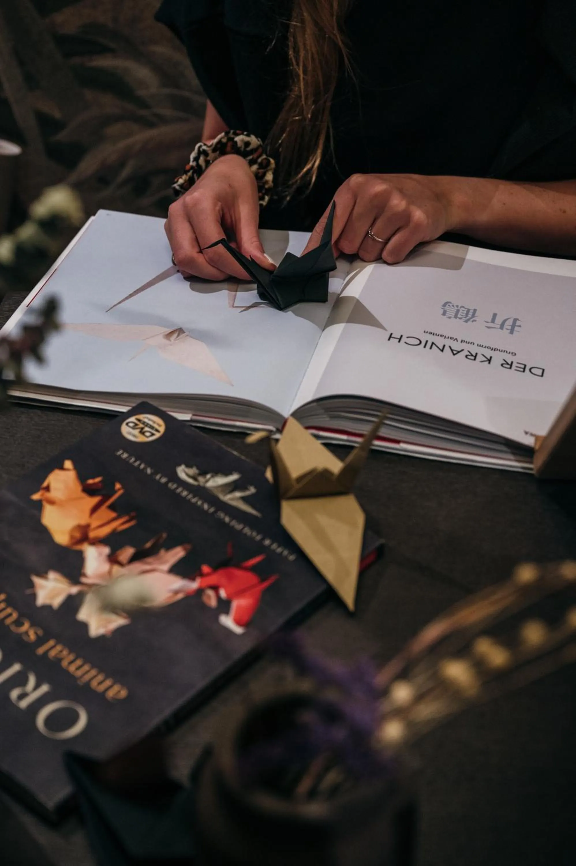 Activities in SILENA, your soulful hotel - adults only