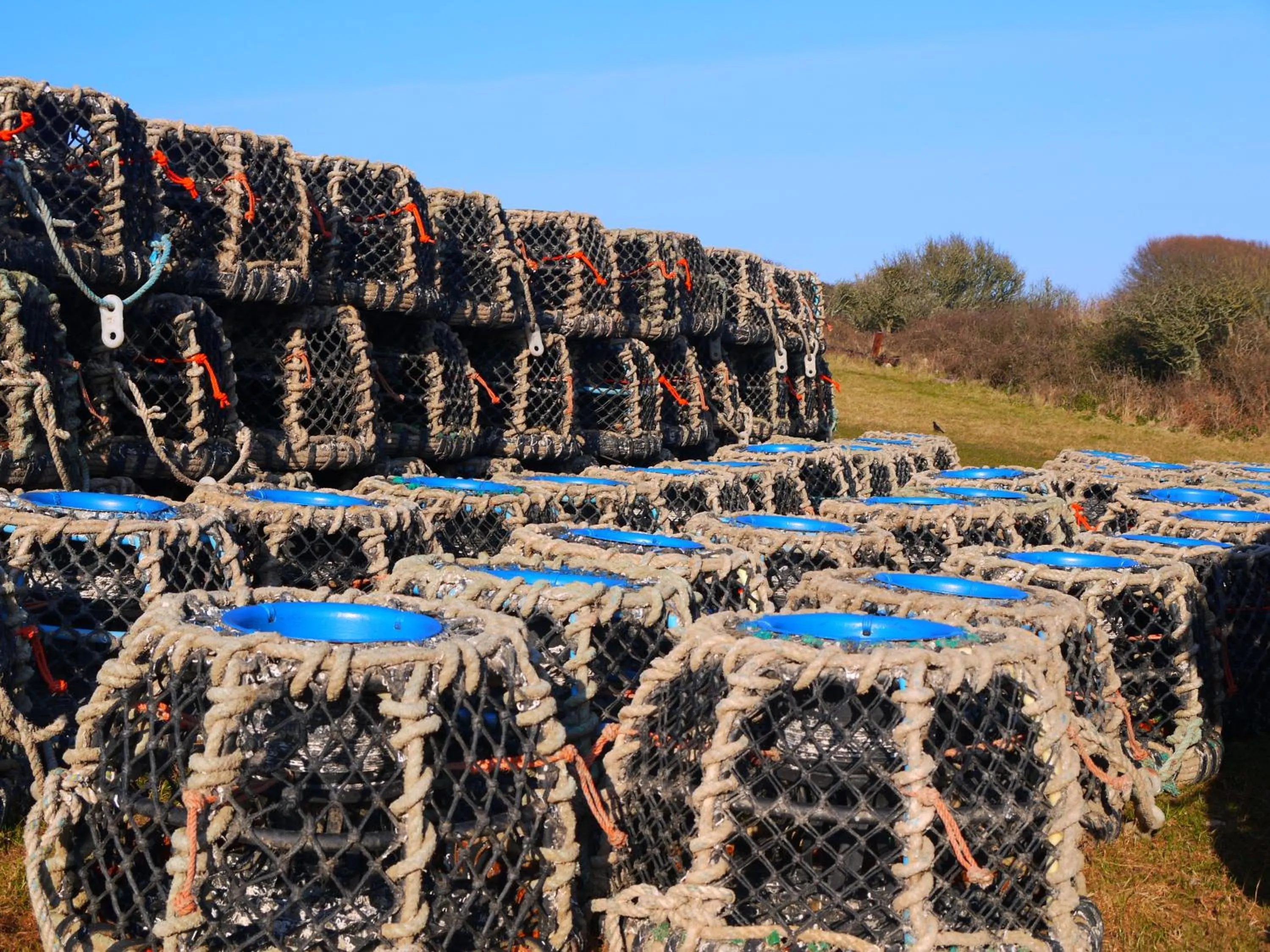 Other in Burton Farmhouse