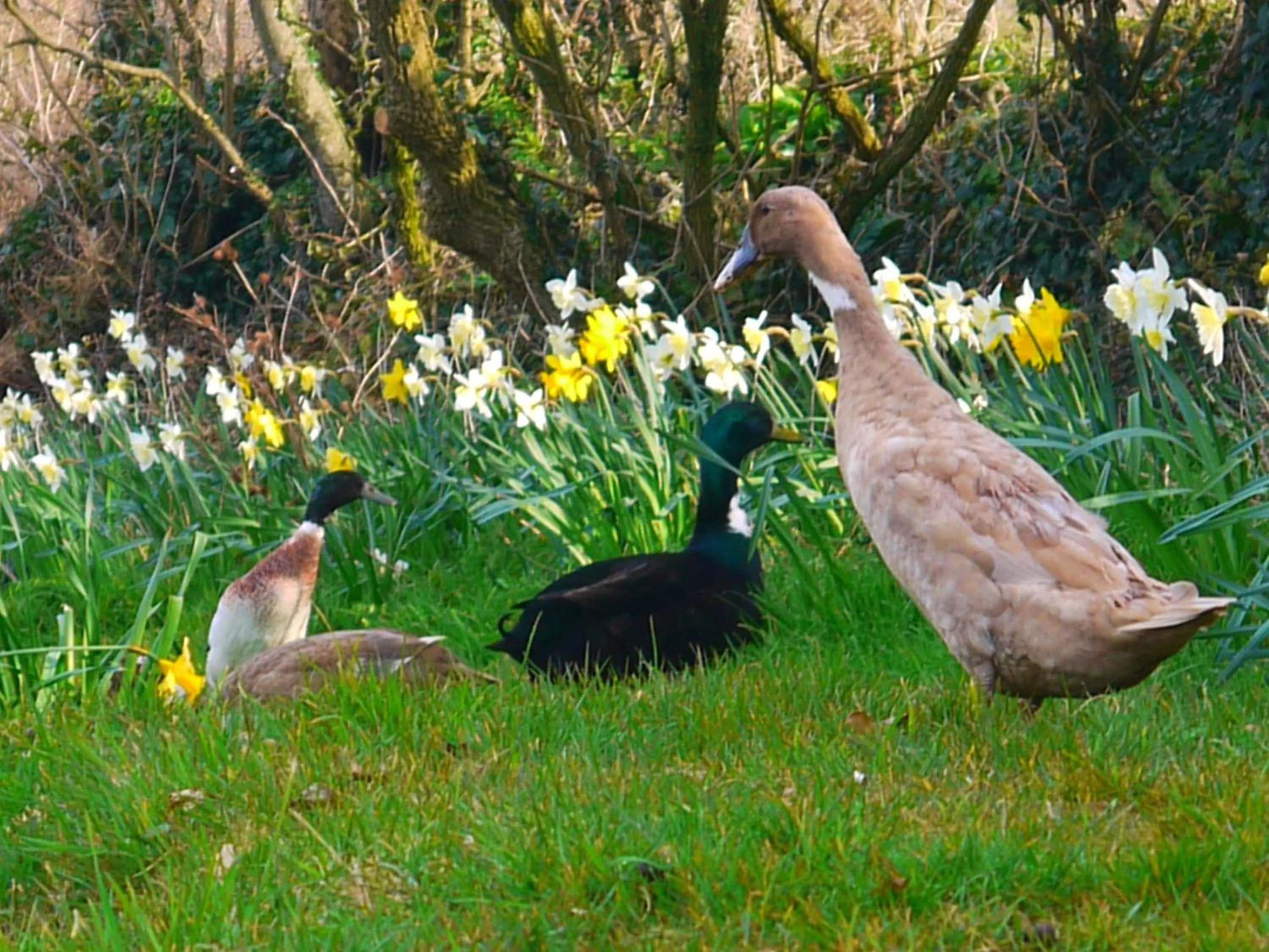 Other in Burton Farmhouse