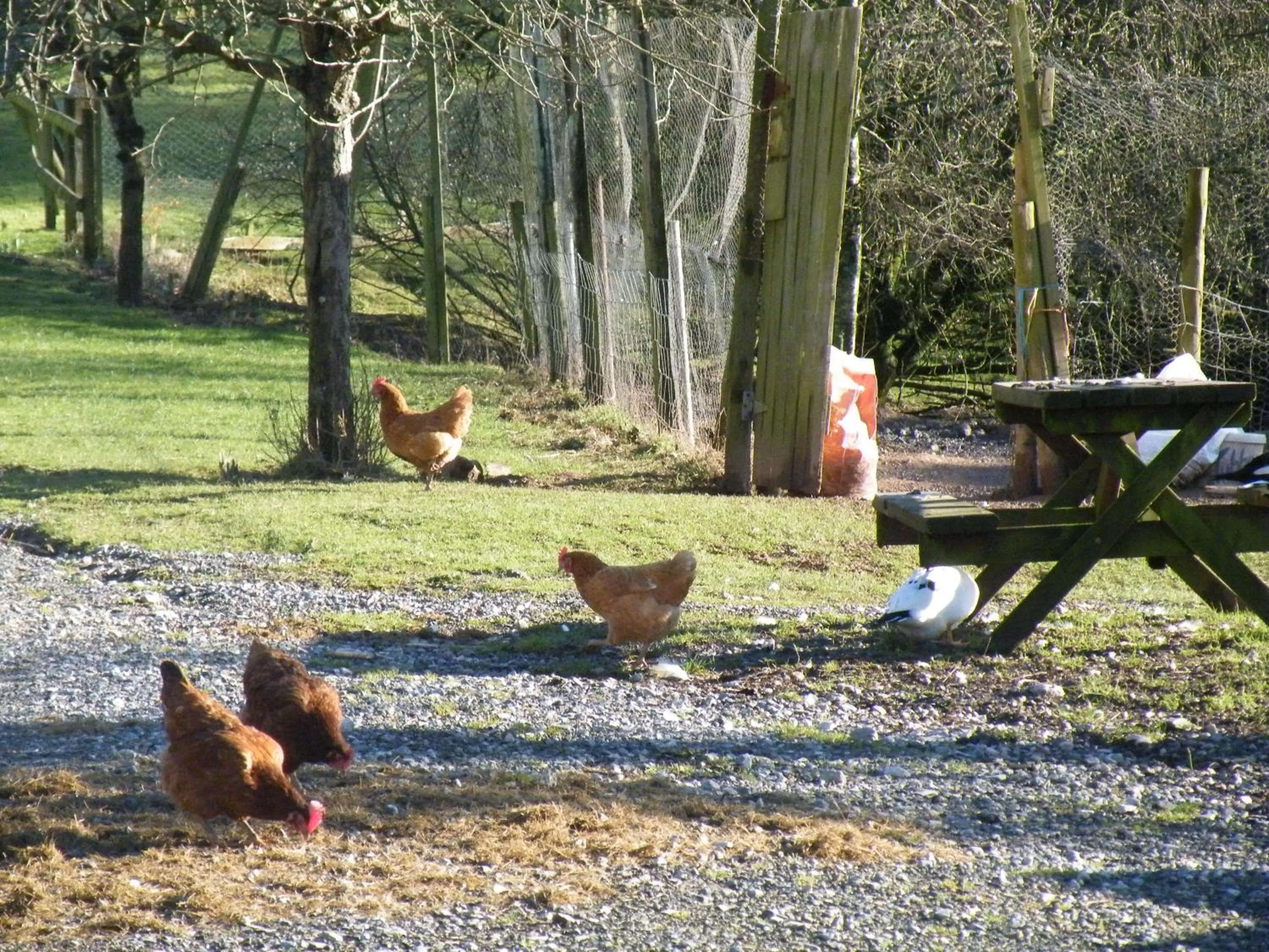 Facade/entrance in Burton Farmhouse